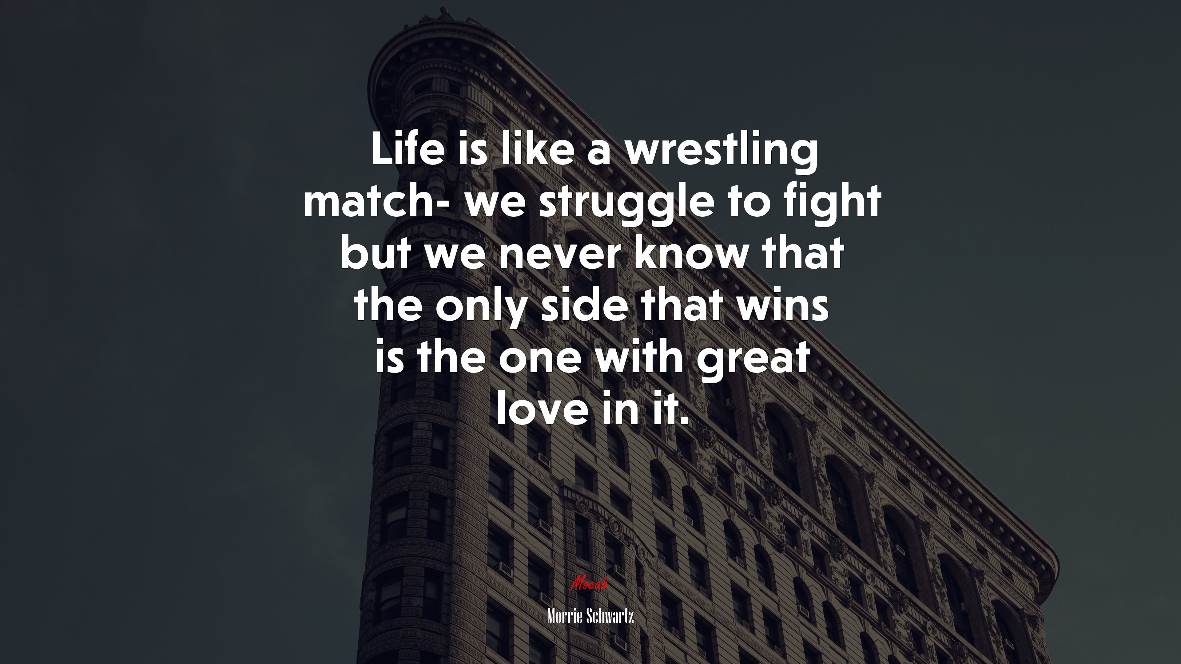 Life is like a wrestling match- we struggle to fight but we never know that the only side that wins is the one with great love in it. | Morrie Schwartz quote HD Wallpaper