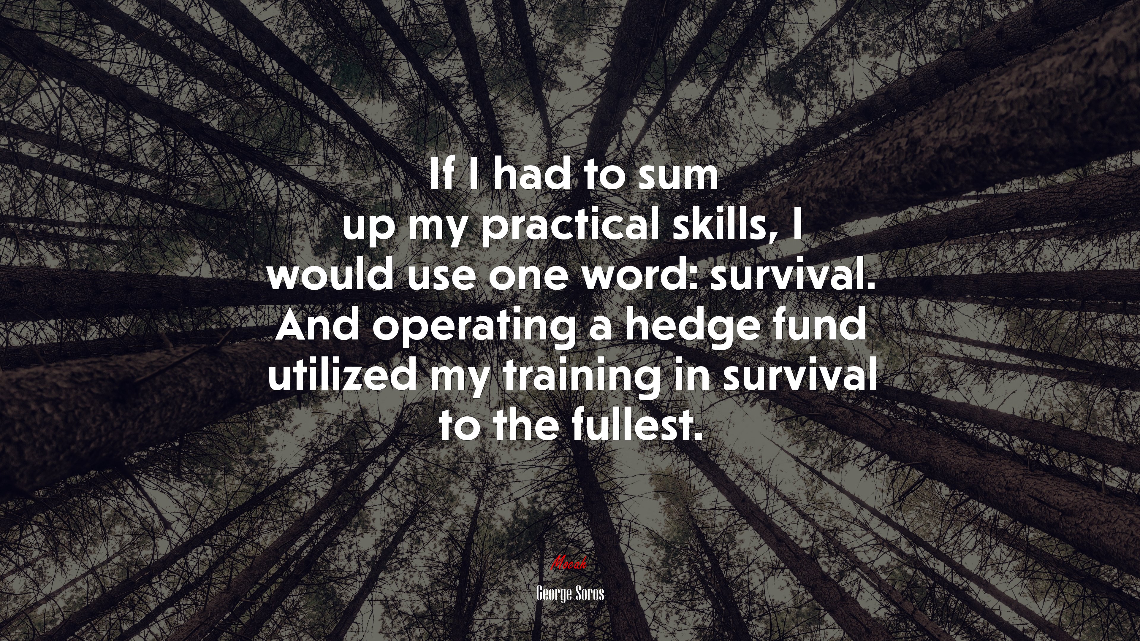 If I had to sum up my practical skills, I would use one word: survival. And operating a hedge fund utilized my training in survival to the fullest. | George Soros quote HD Wallpaper