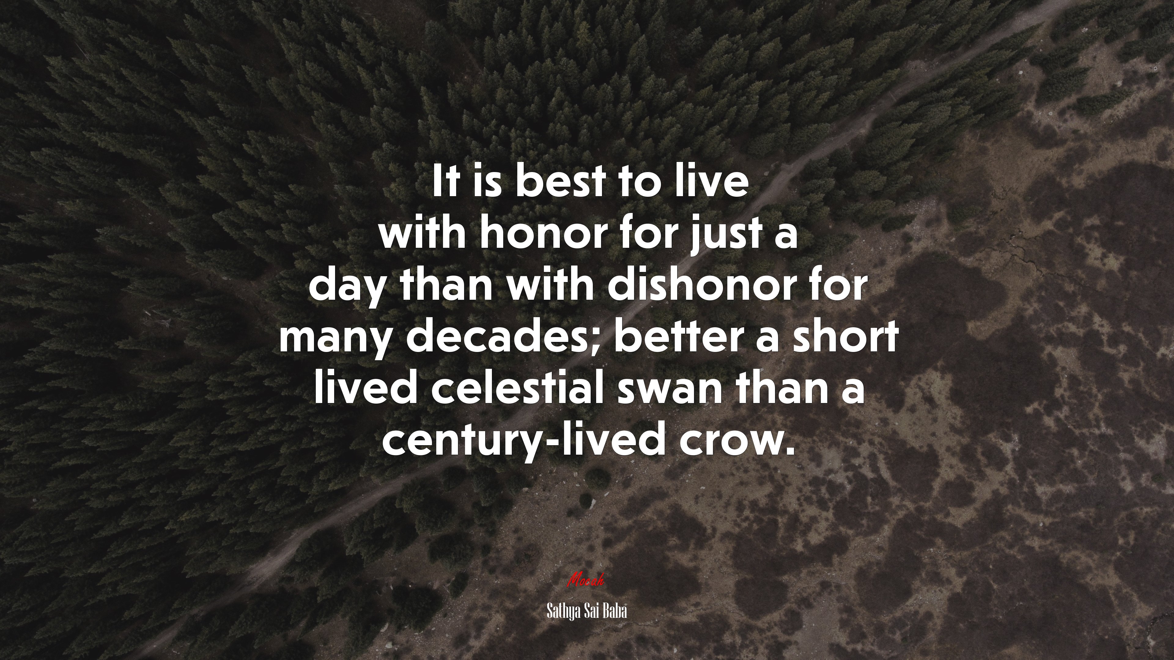 It is best to live with honor for just a day than with dishonor for many decades; better a short lived celestial swan than a century-lived crow. | Sathya Sai Baba quote HD Wallpaper