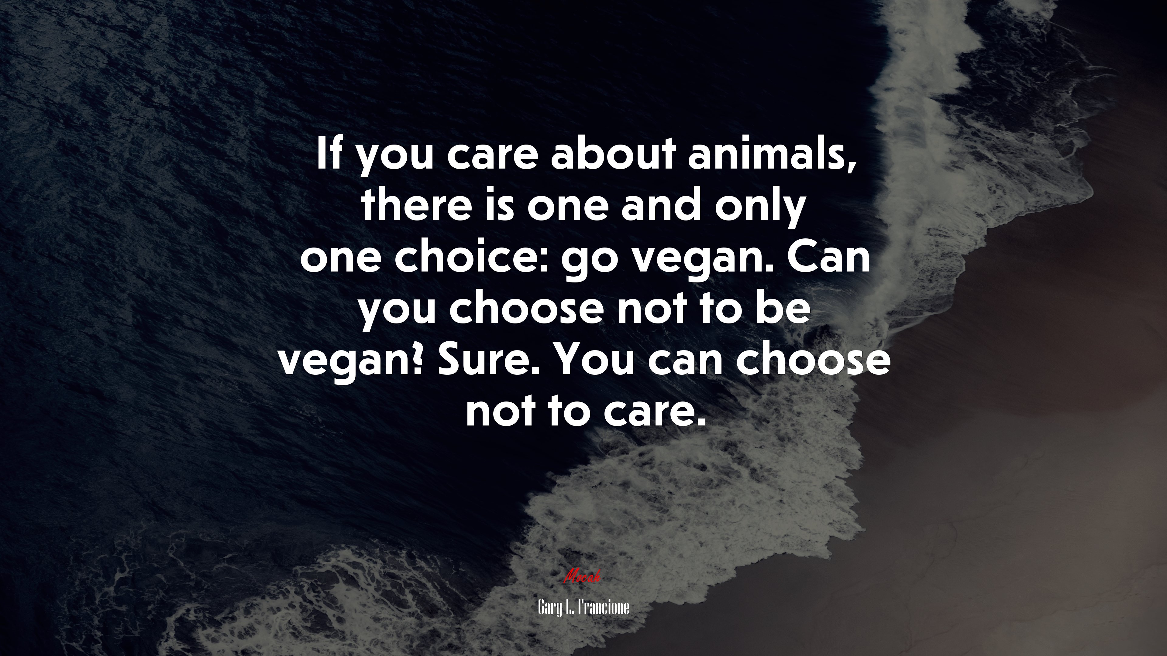 If you care about animals, there is one and only one choice: go vegan. Can you choose not to be vegan? Sure. You can choose not to care. | Gary L. Francione quote HD Wallpaper