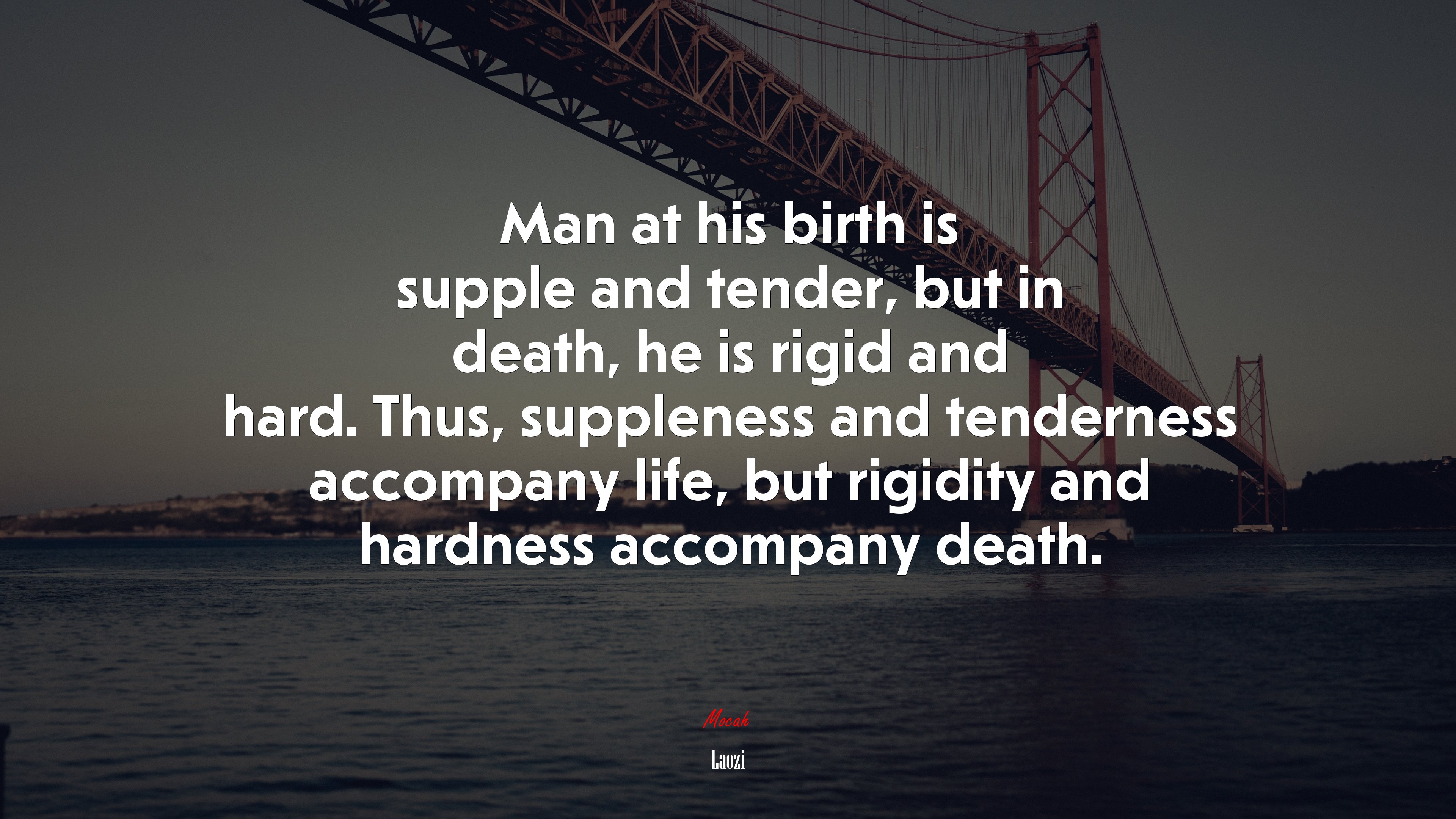 Man at his birth is supple and tender, but in death, he is rigid and hard. Thus, suppleness and tenderness accompany life, but rigidity and hardness accompany death. | Laozi quote HD Wallpaper