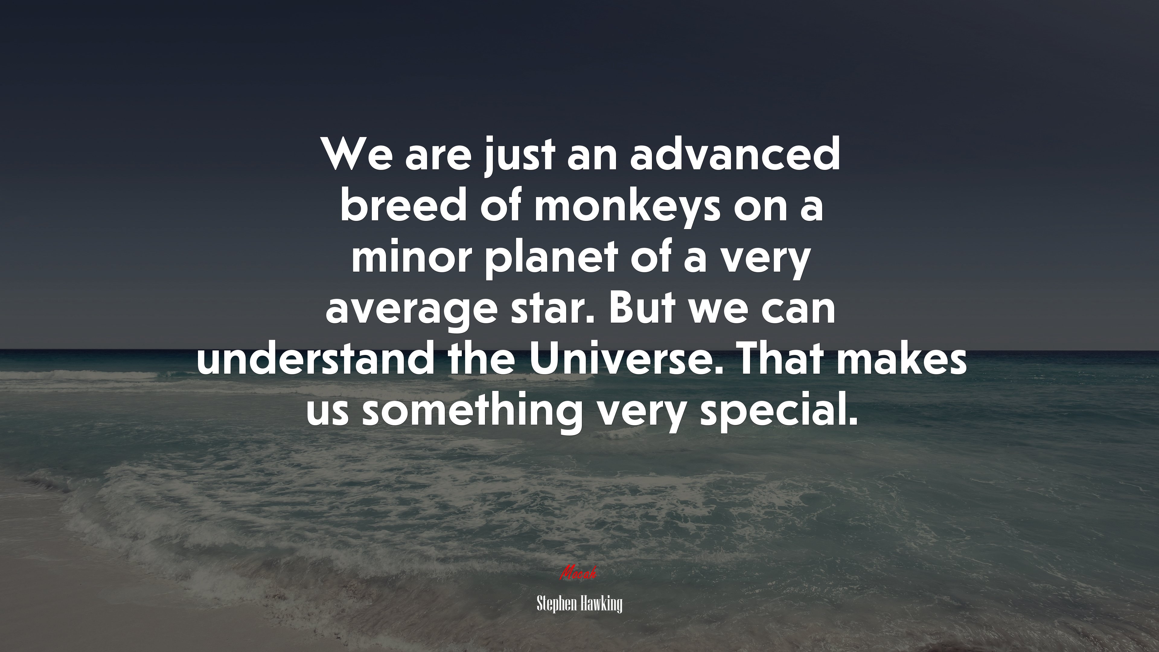 We are just an advanced breed of monkeys on a minor planet of a very average star. But we can understand the Universe. That makes us something very special. | Stephen Hawking quote HD Wallpaper