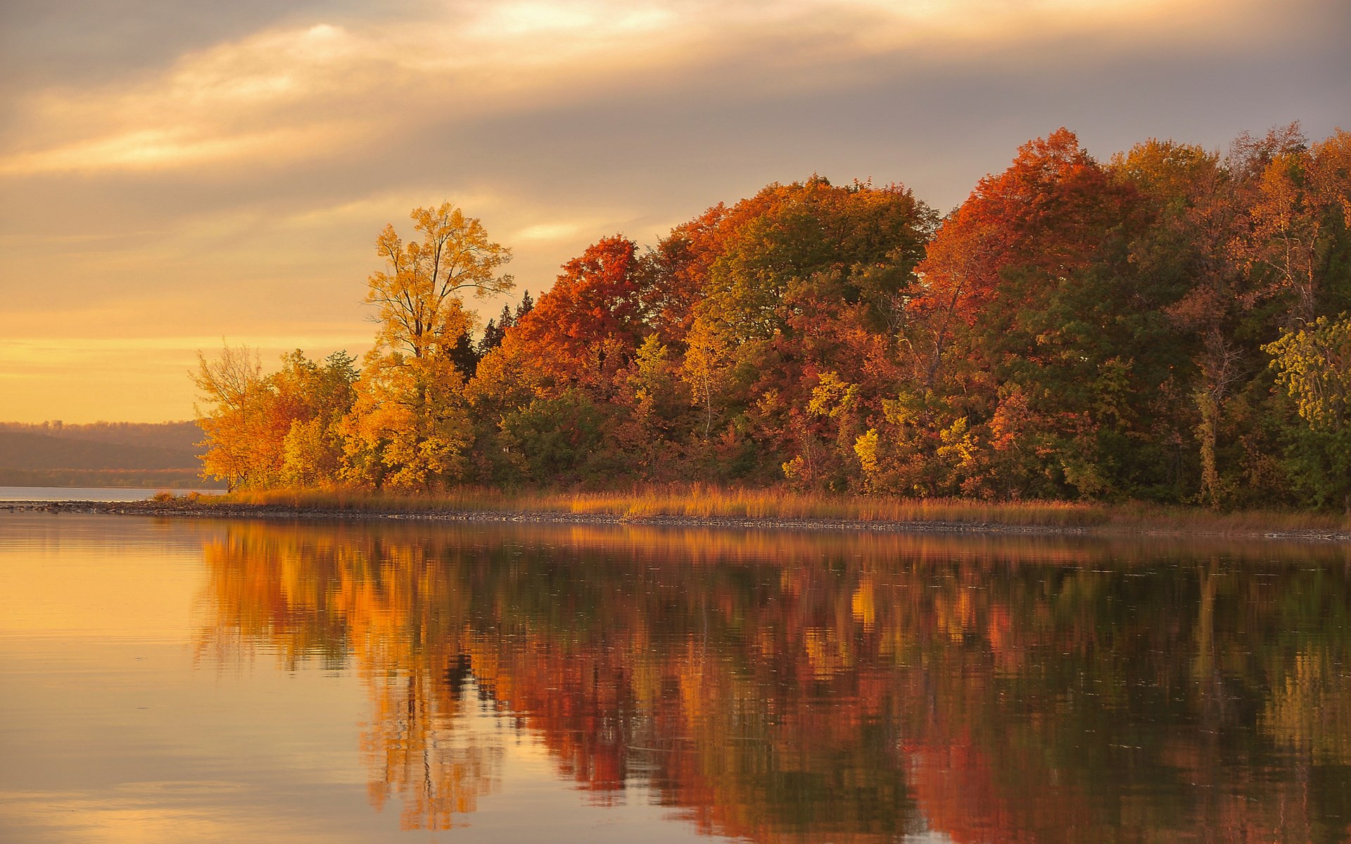 Autumn trees reflecting in a lake at sunset HD Wallpaper