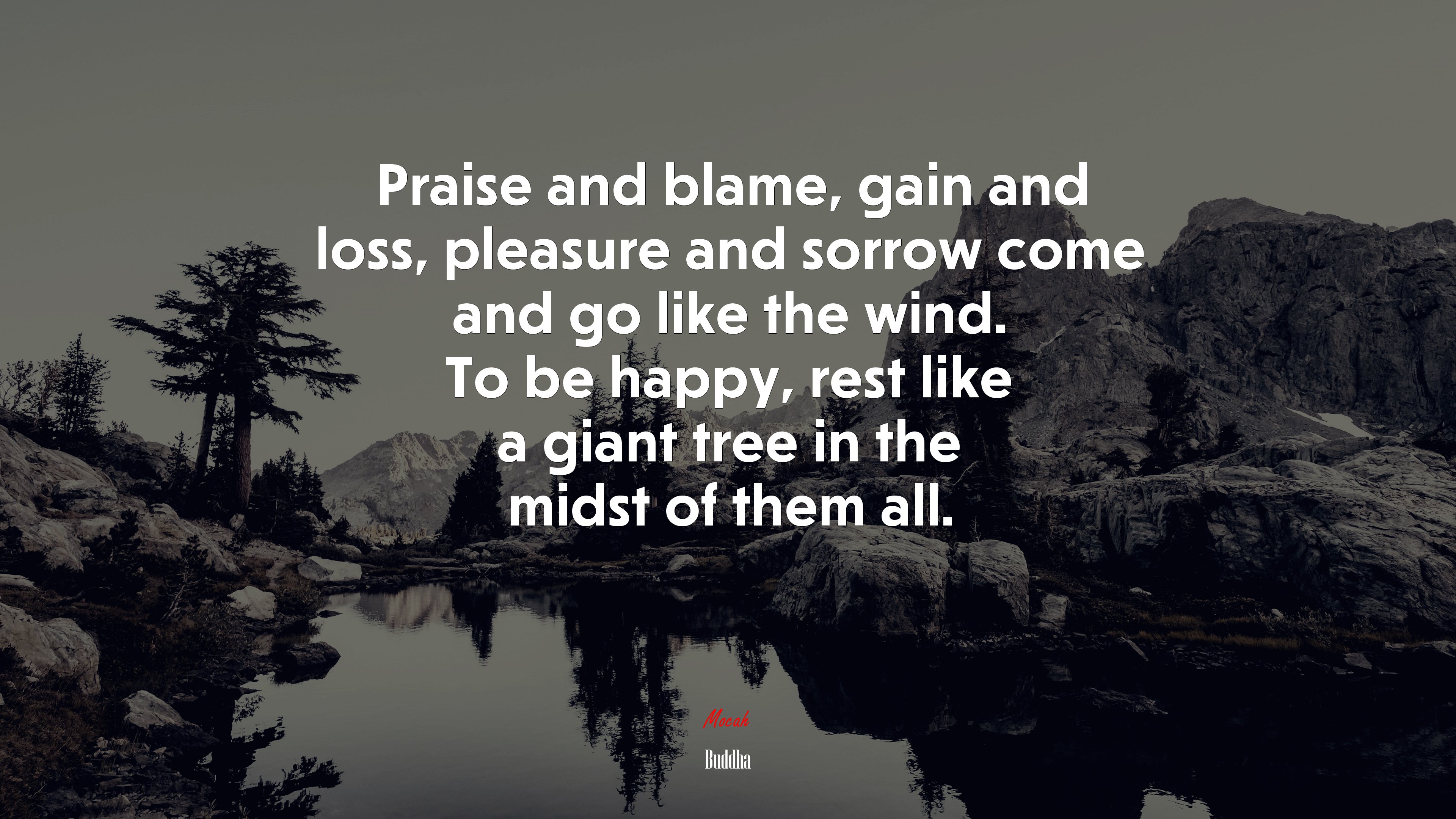 Praise and blame, gain and loss, pleasure and sorrow come and go like the wind. To be happy, rest like a giant tree in the midst of them all. | Buddha quote HD Wallpaper