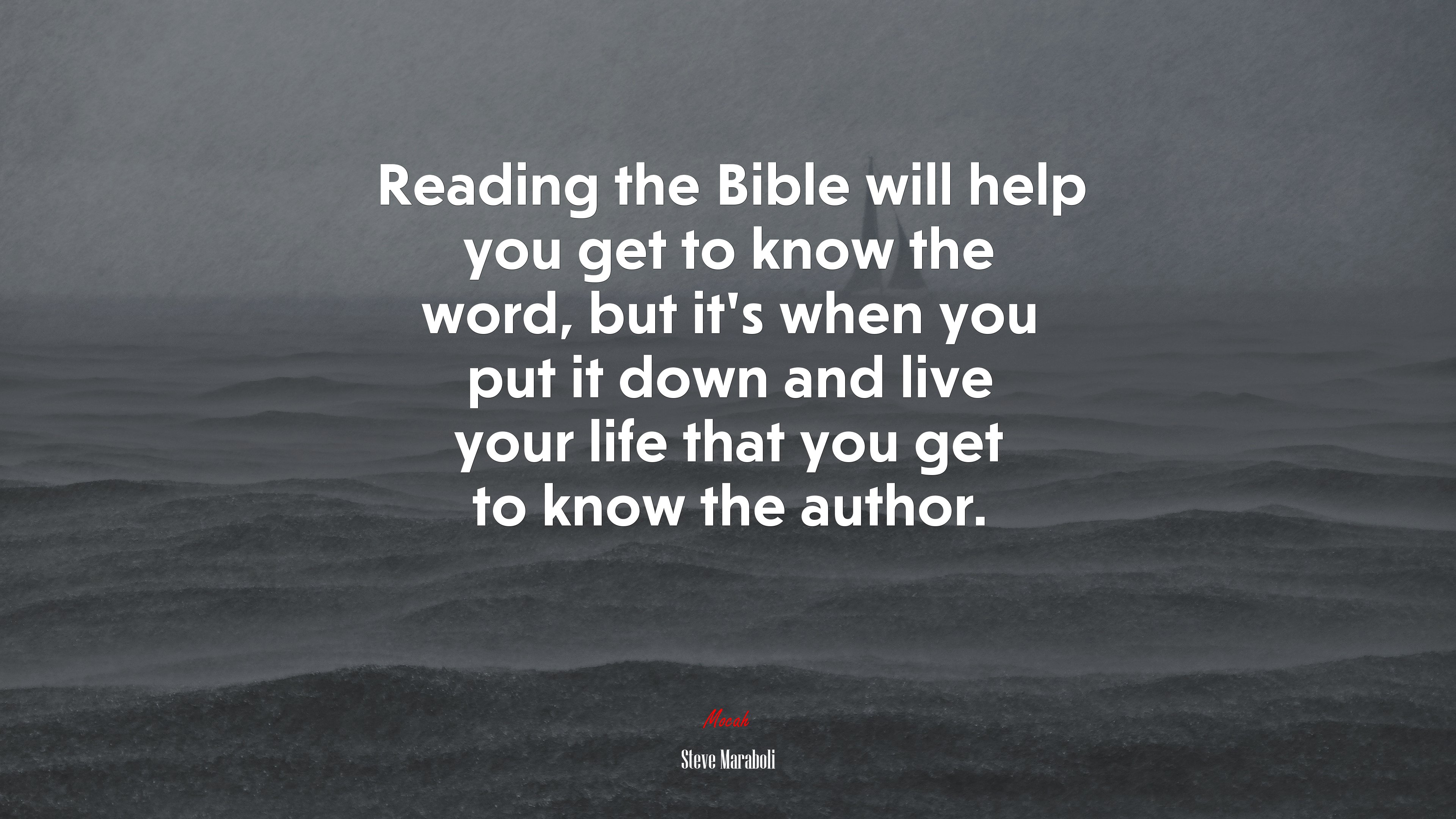 Reading the Bible will help you get to know the word, but it’s when you put it down and live your life that you get to know the author. | Steve Maraboli quote HD Wallpaper