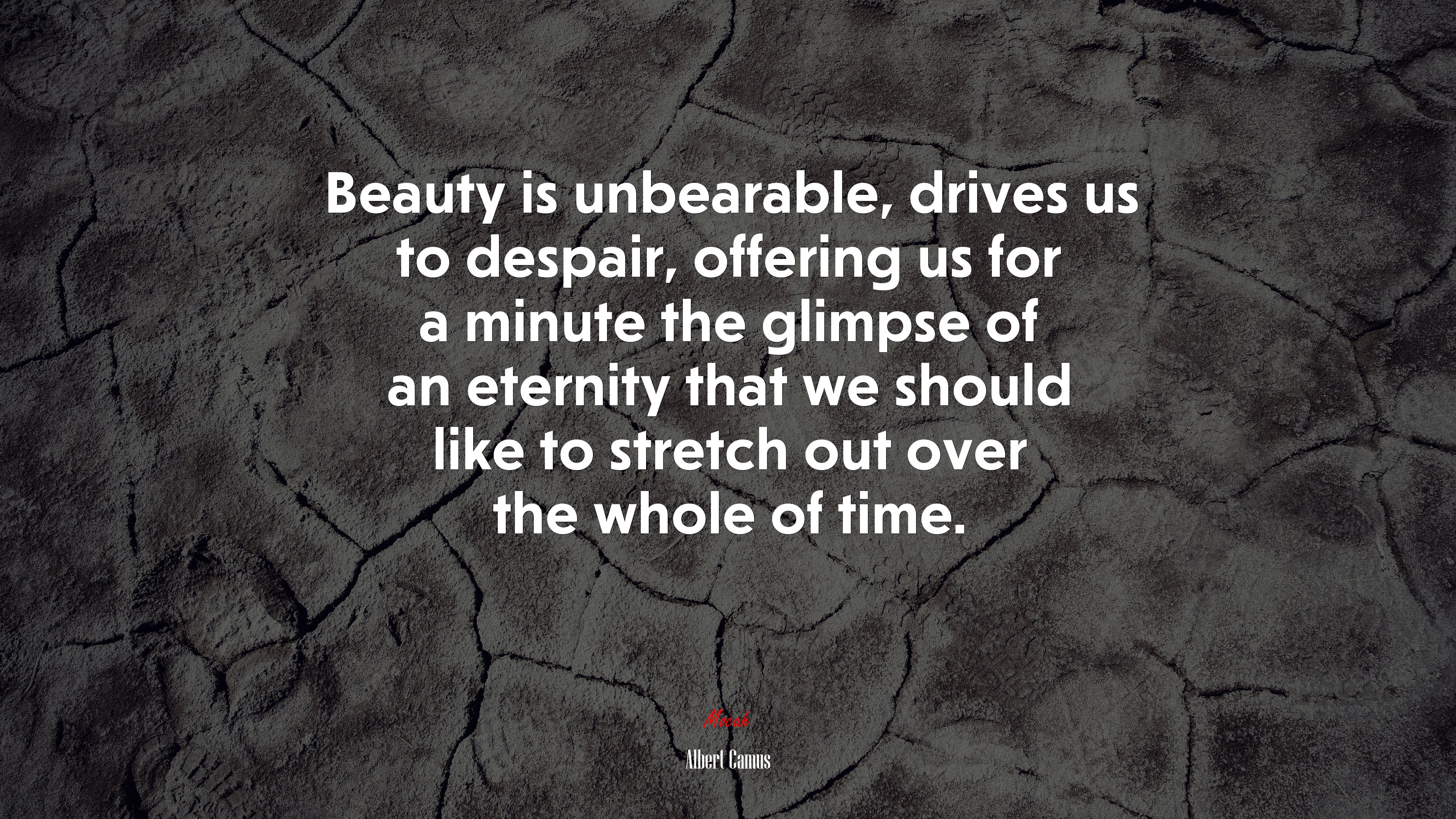 Beauty is unbearable, drives us to despair, offering us for a minute the glimpse of an eternity that we should like to stretch out over the whole of time. | Albert Camus quote HD Wallpaper