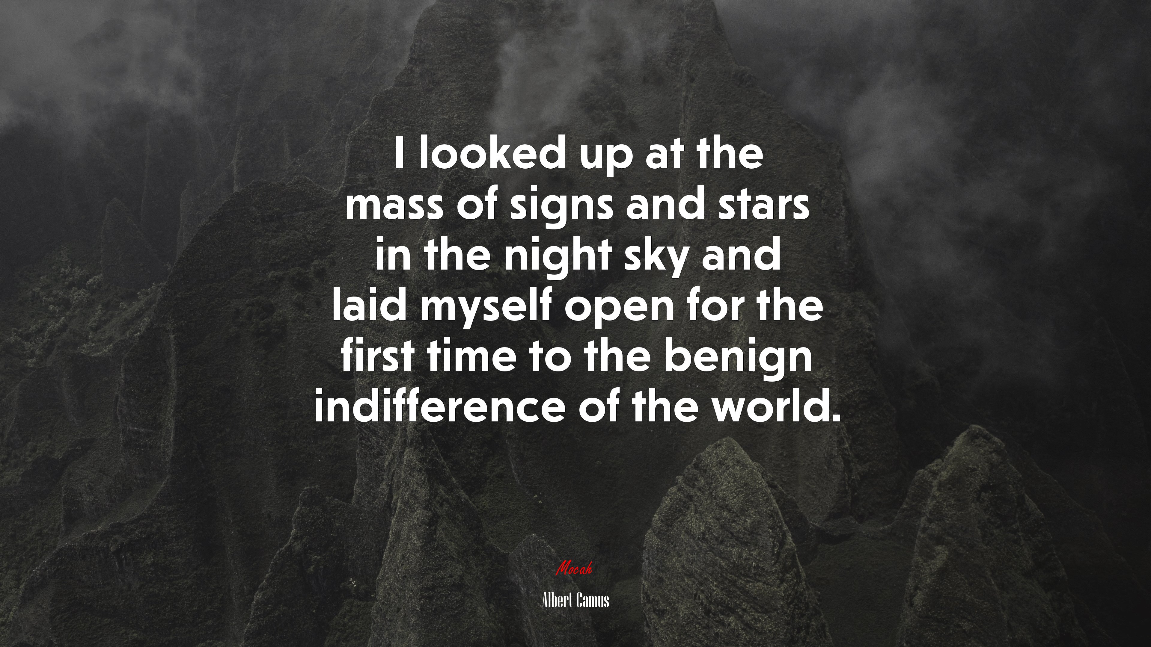 I looked up at the mass of signs and stars in the night sky and laid myself open for the first time to the benign indifference of the world. | Albert Camus quote HD Wallpaper