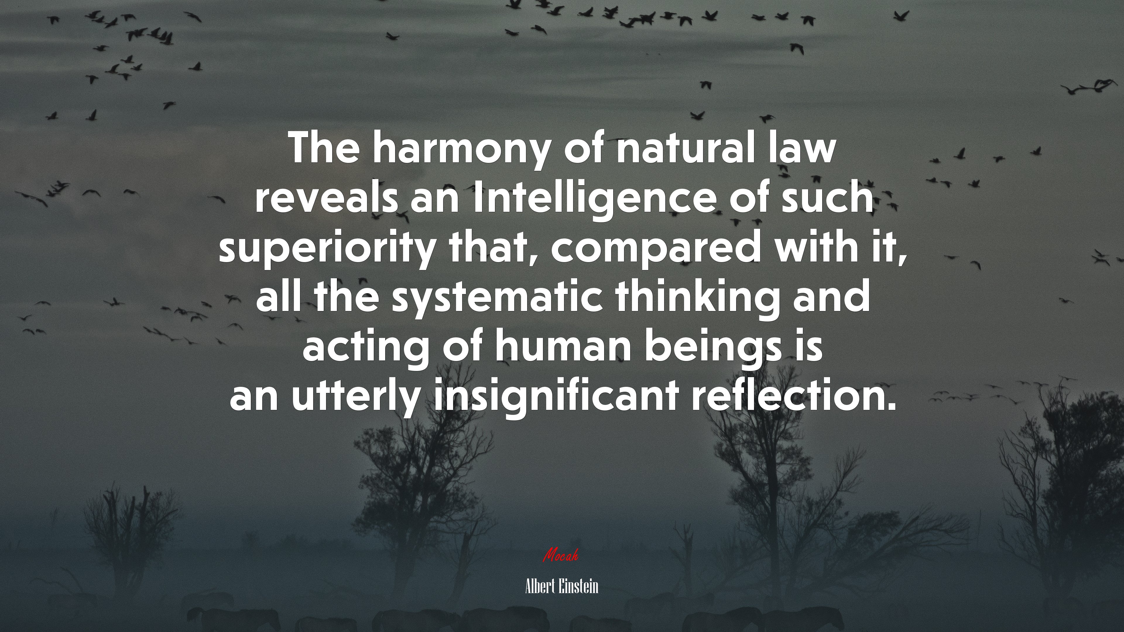 The harmony of natural law reveals an Intelligence of such superiority that, compared with it, all the systematic thinking and acting of human beings is an utterly insignificant reflection. | Albert Einstein quote HD Wallpaper