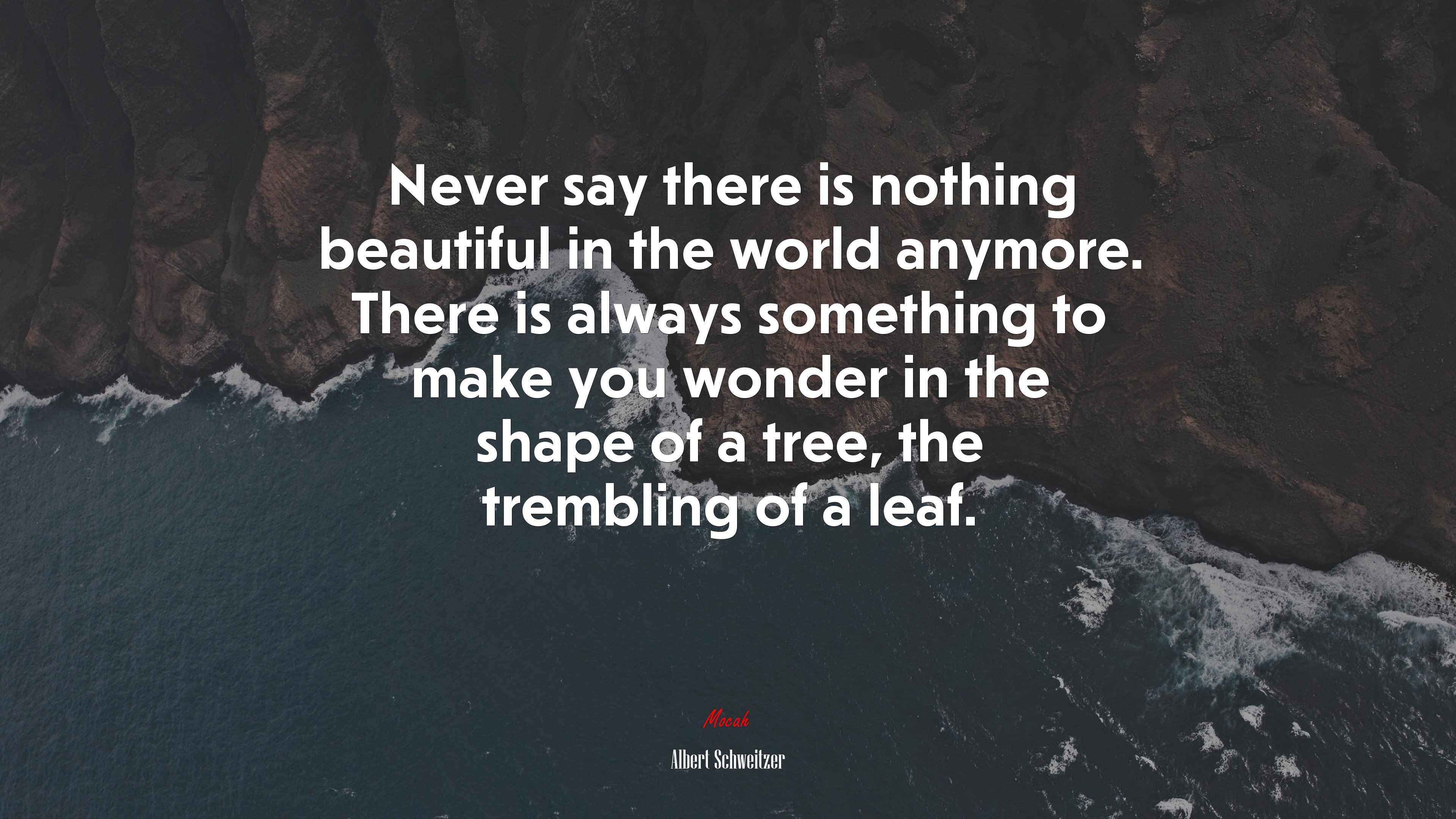 Never say there is nothing beautiful in the world anymore. There is always something to make you wonder in the shape of a tree, the trembling of a leaf. | Albert Schweitzer quote HD Wallpaper