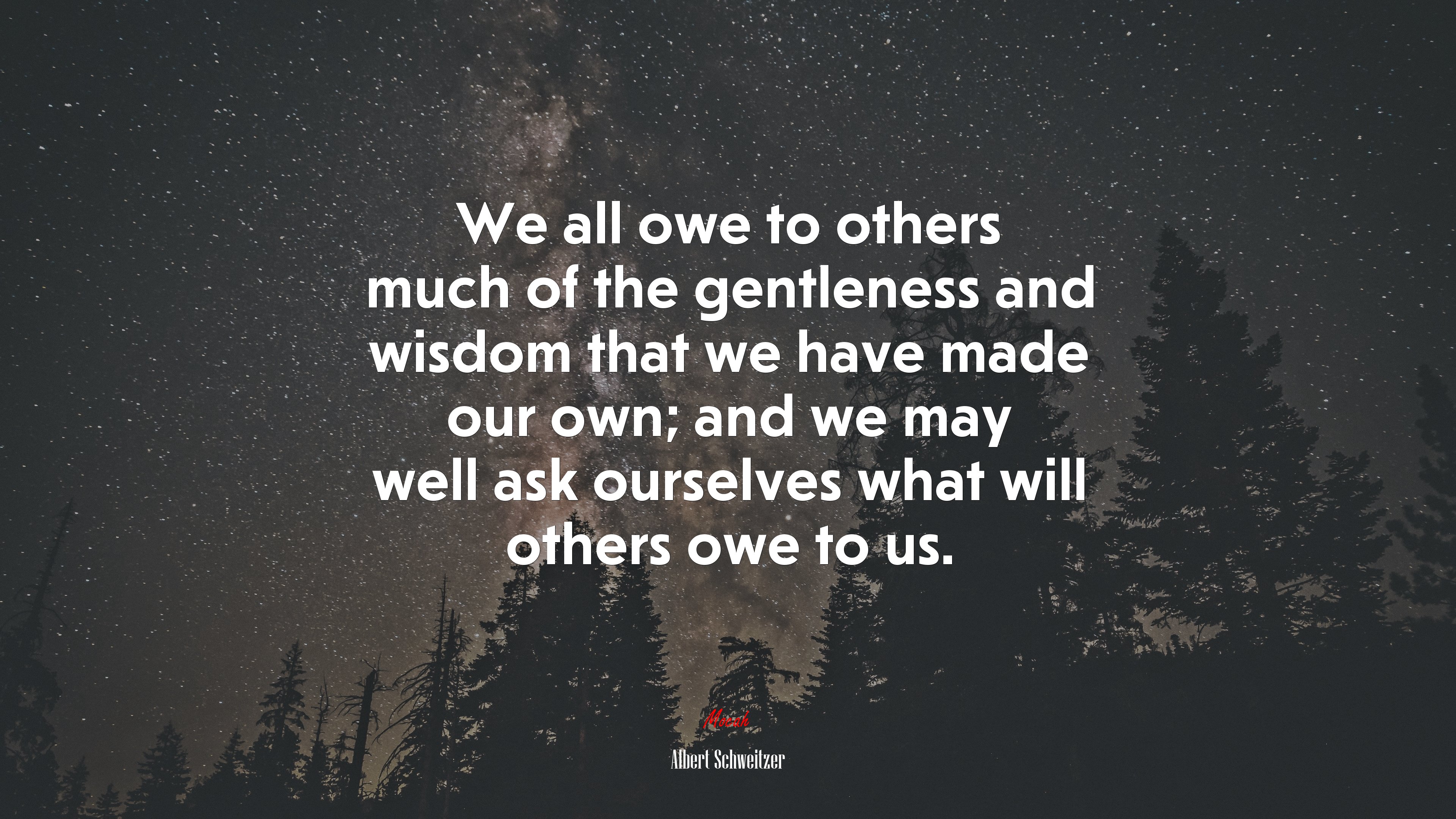We all owe to others much of the gentleness and wisdom that we have made our own; and we may well ask ourselves what will others owe to us. | Albert Schweitzer quote HD Wallpaper