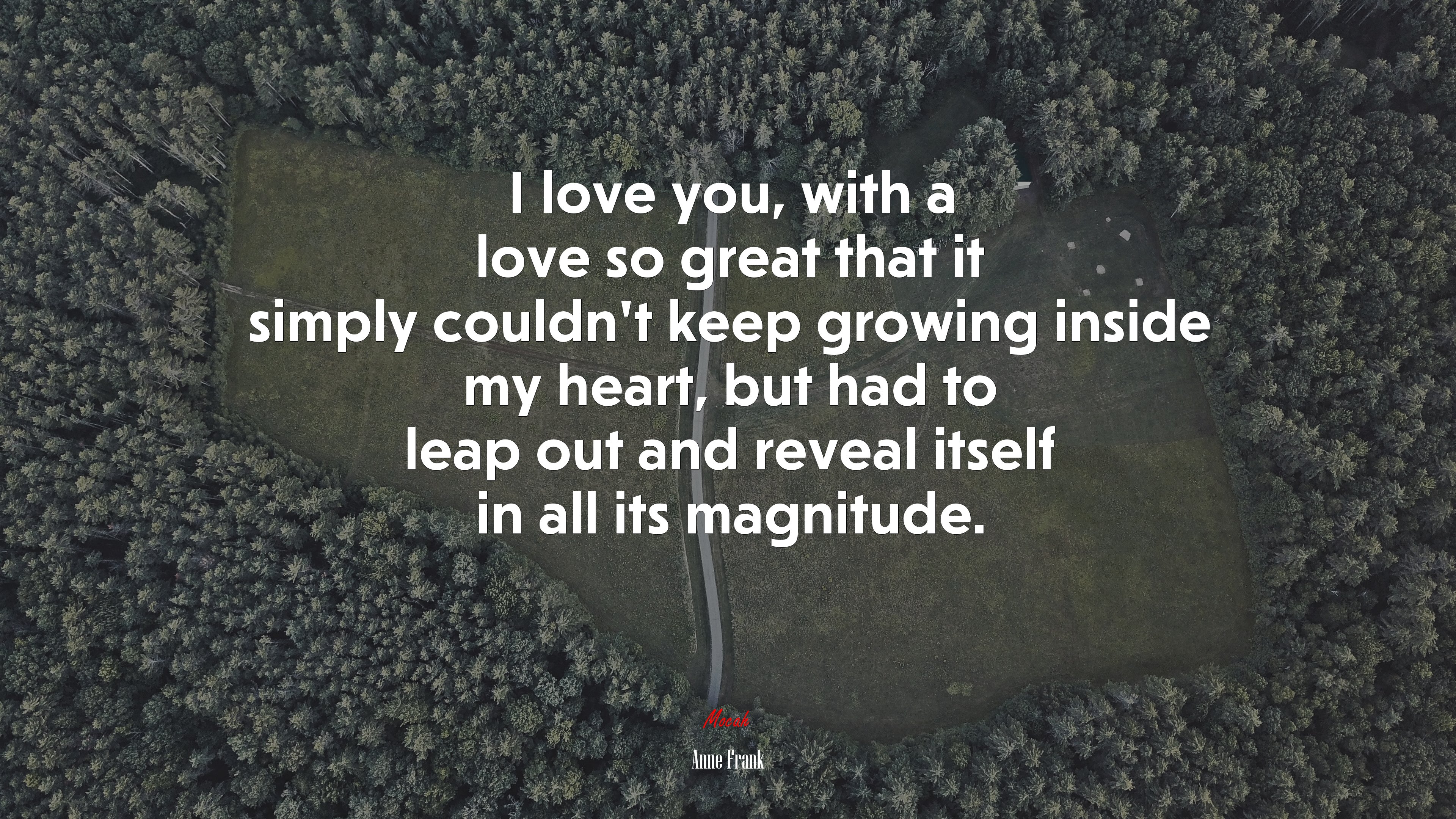 I love you, with a love so great that it simply couldn’t keep growing inside my heart, but had to leap out and reveal itself in all its magnitude. | Anne Frank quote HD Wallpaper