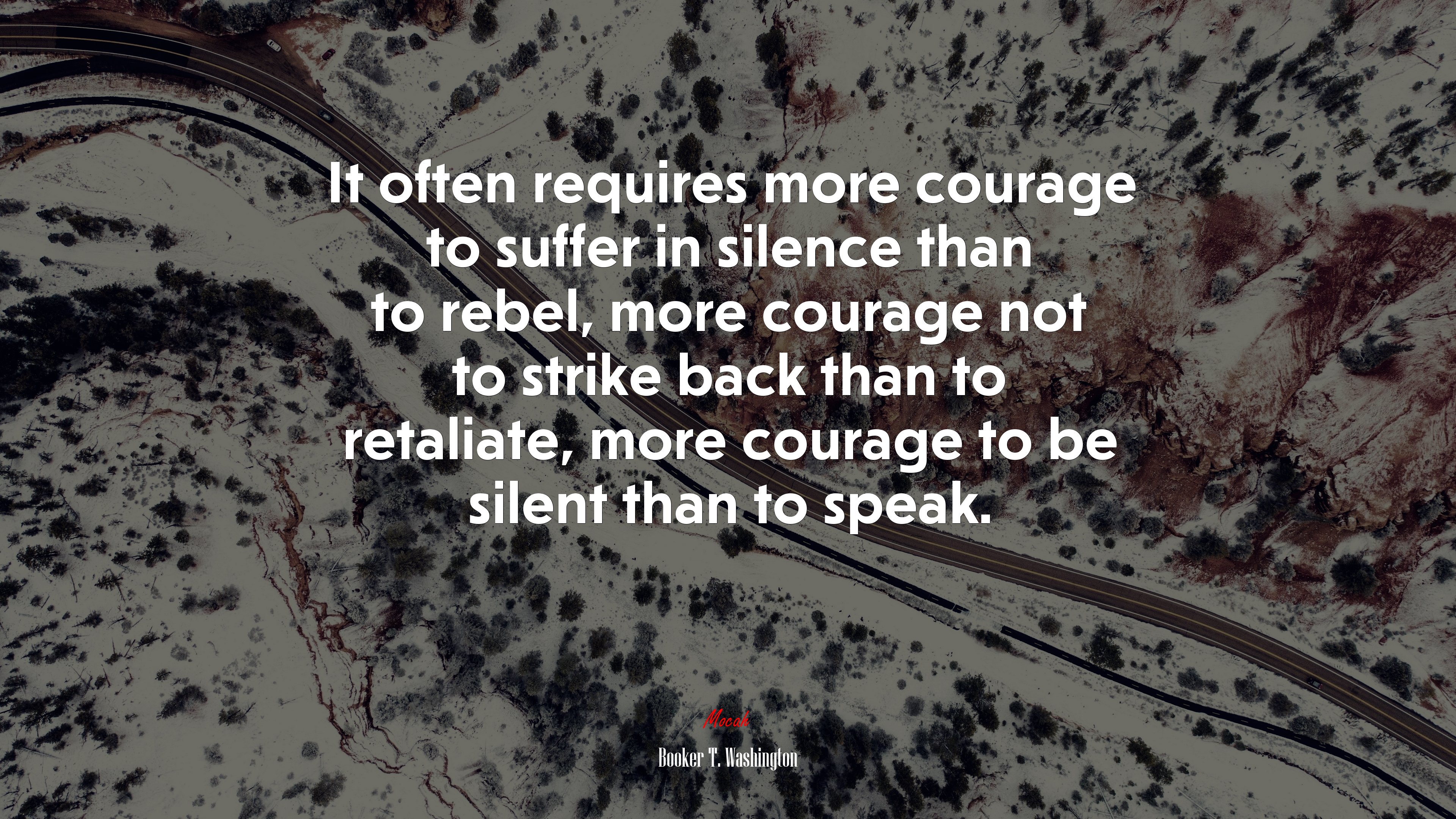 It often requires more courage to suffer in silence than to rebel, more courage not to strike back than to retaliate, more courage to be silent than to speak. | Booker T. Washington quote HD Wallpaper