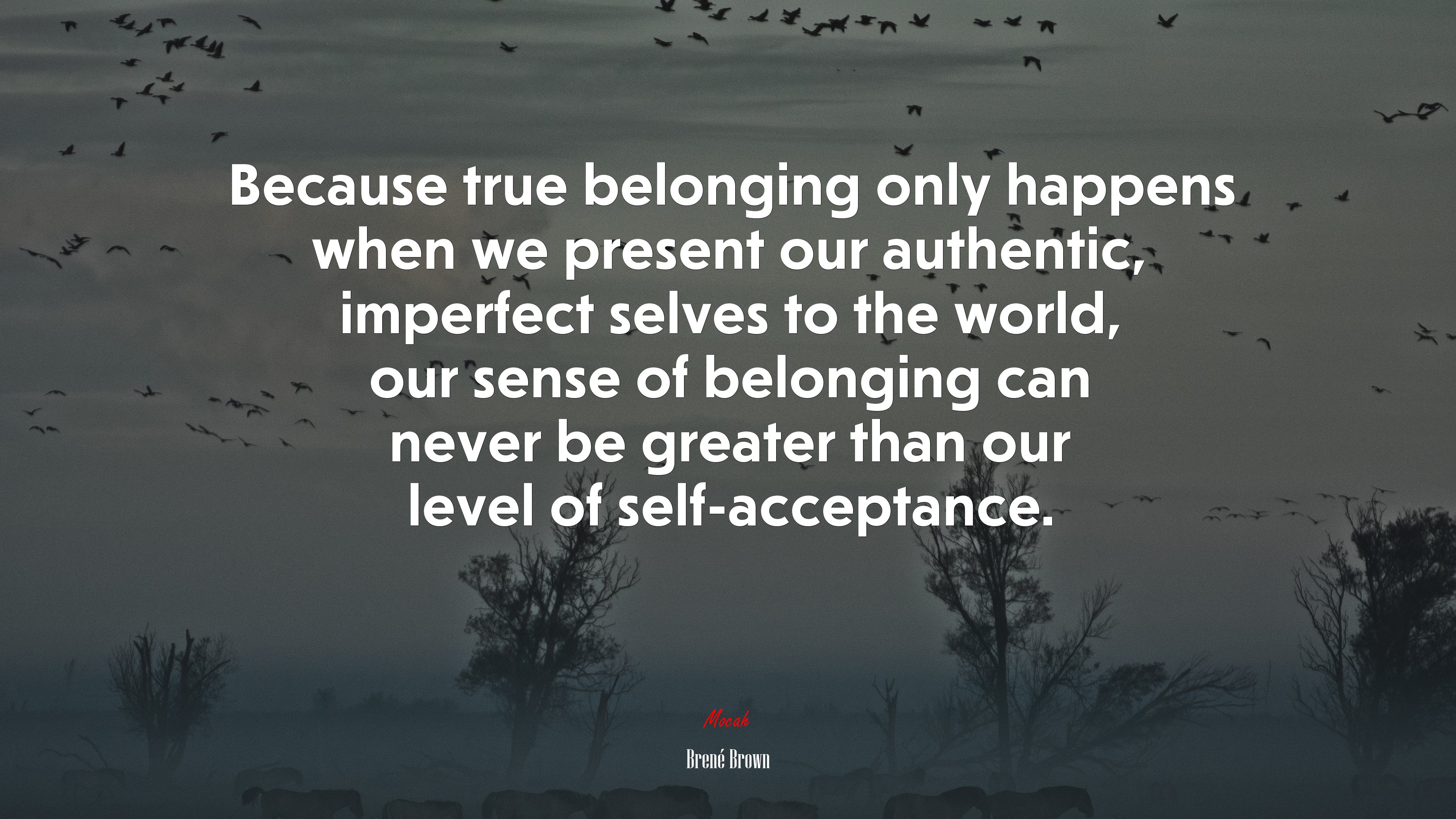Because true belonging only happens when we present our authentic, imperfect selves to the world, our sense of belonging can never be greater than our level of self-acceptance. | Brené Brown quote HD Wallpaper