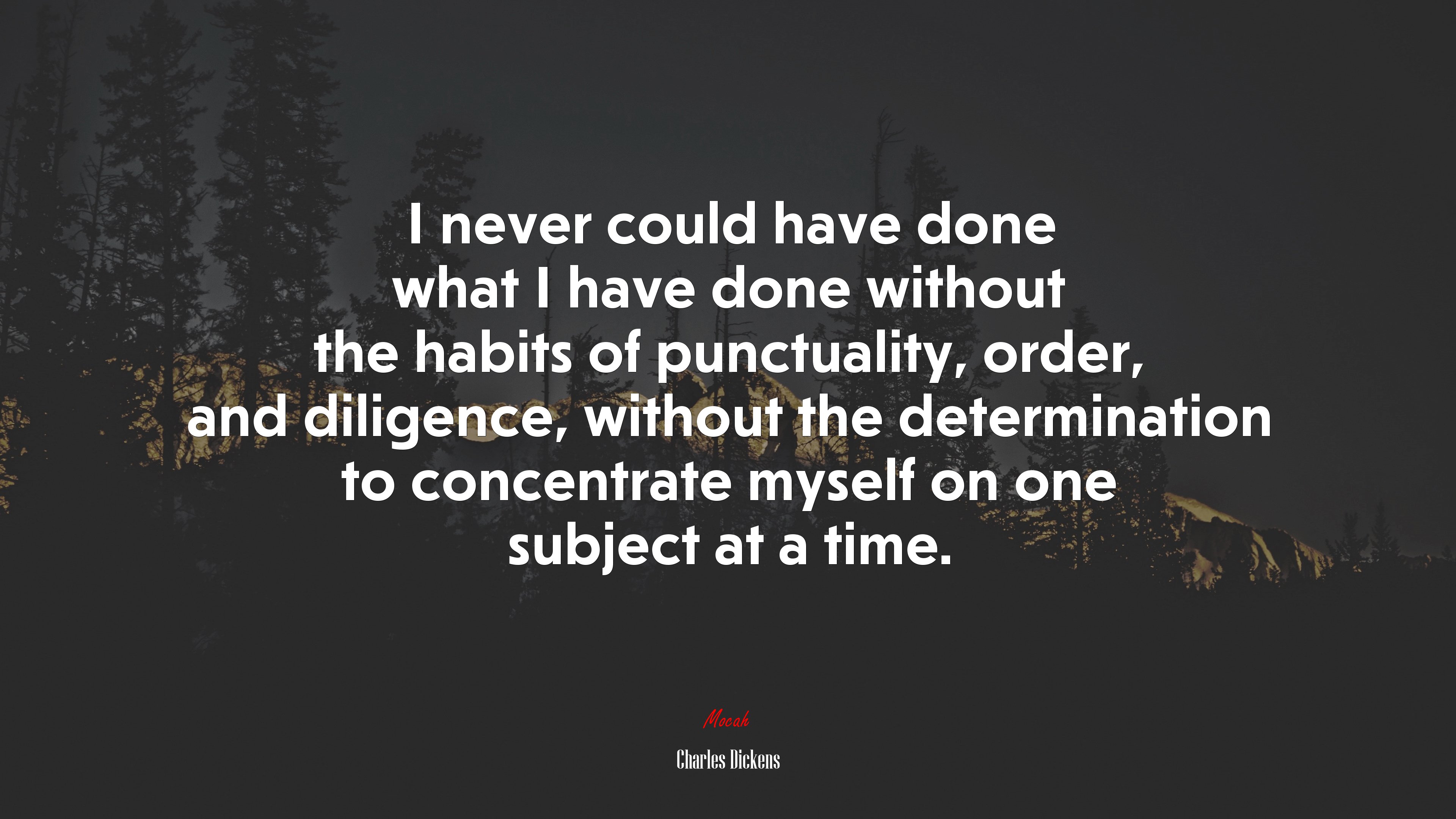 I never could have done what I have done without the habits of punctuality, order, and diligence, without the determination to concentrate myself on one subject at a time. | Charles Dickens quote HD Wallpaper