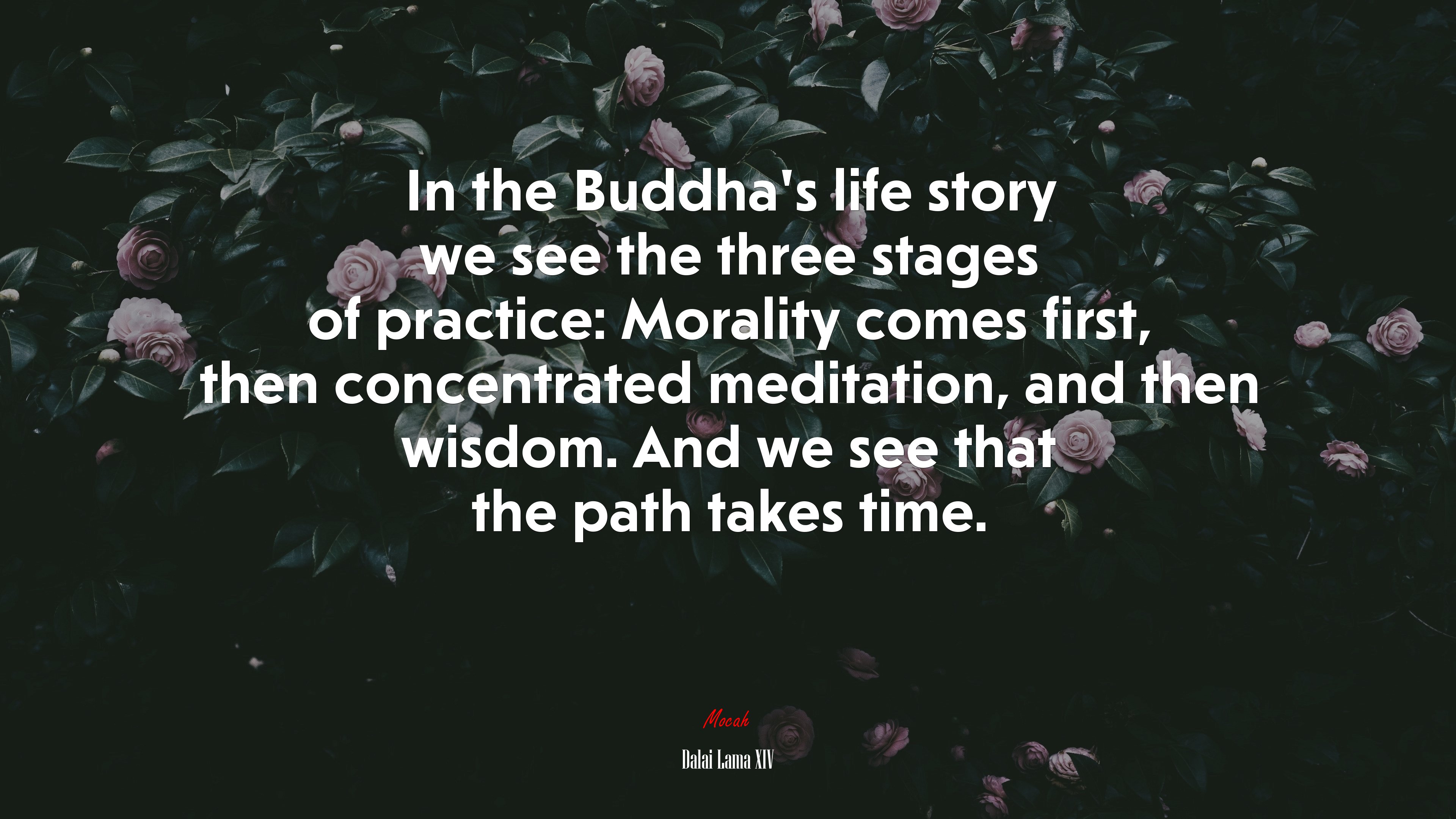 In the Buddha’s life story we see the three stages of practice: Morality comes first, then concentrated meditation, and then wisdom. And we see that the path takes time. | Dalai Lama XIV quote HD Wallpaper