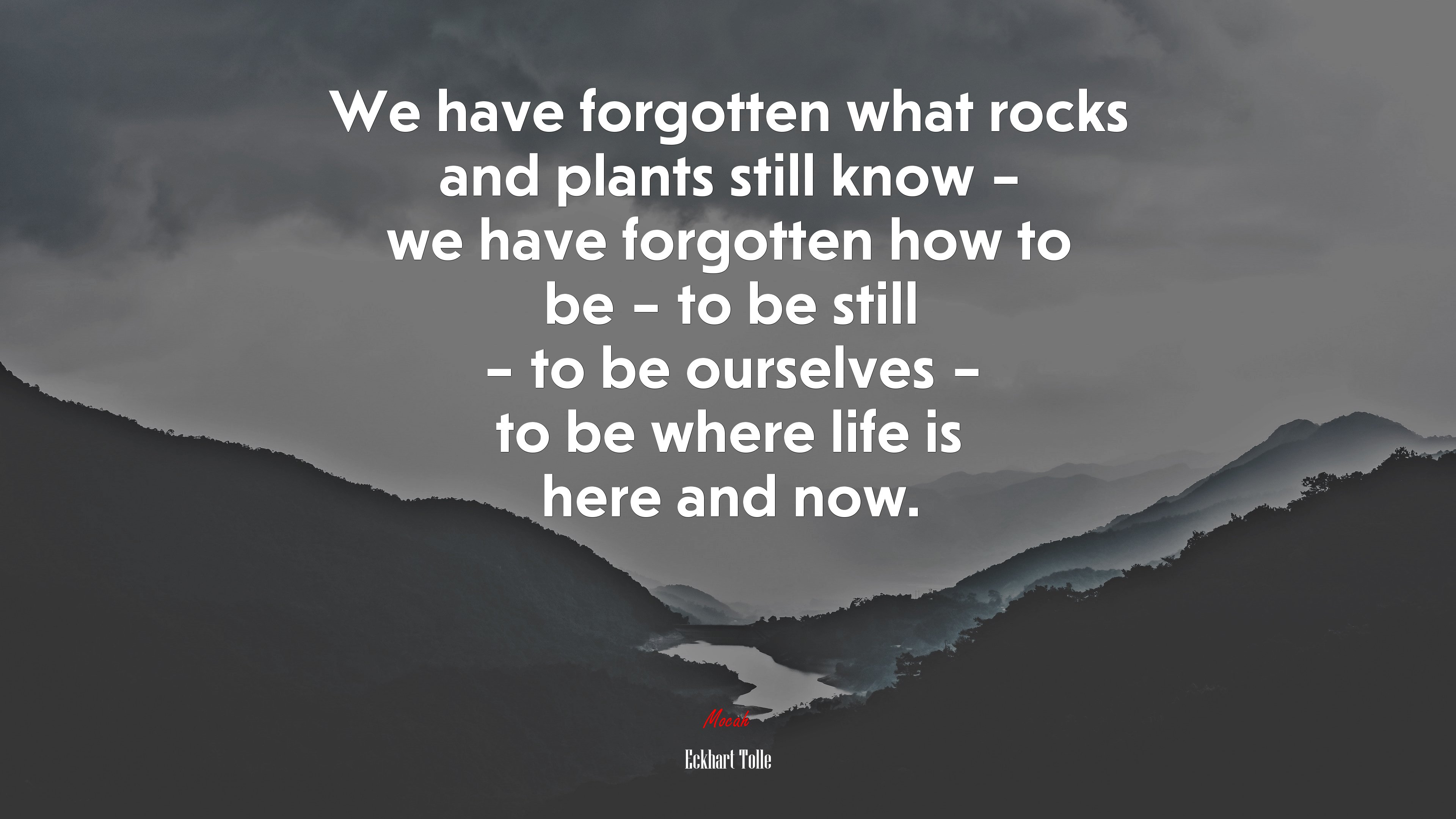 We have forgotten what rocks and plants still know – we have forgotten how to be – to be still – to be ourselves – to be where life is here and now. | Eckhart Tolle quote HD Wallpaper