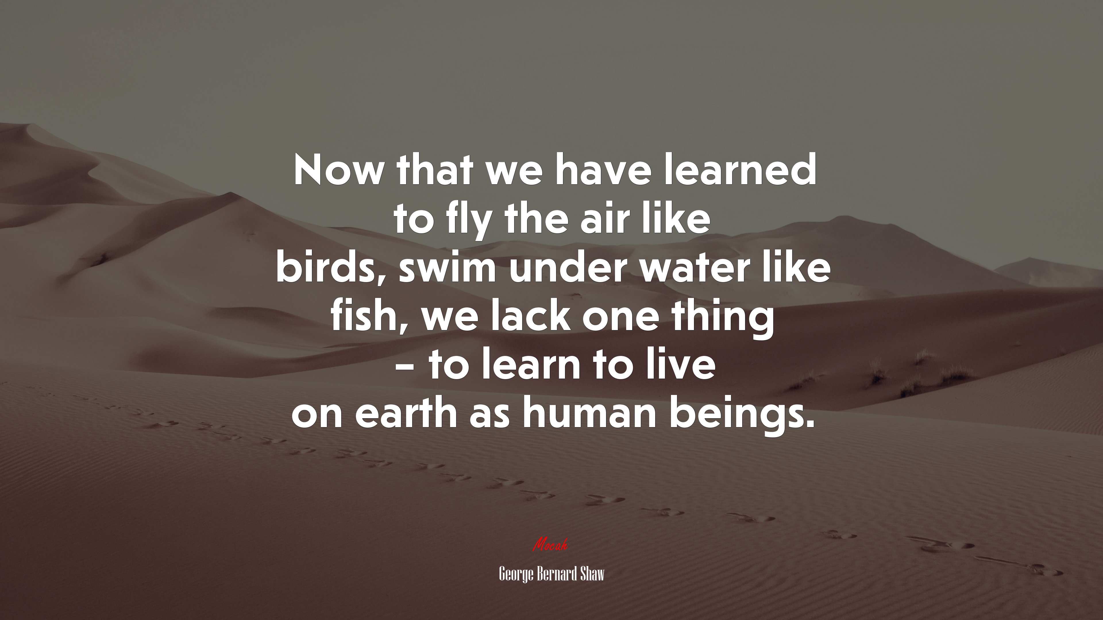 Now that we have learned to fly the air like birds, swim under water like fish, we lack one thing – to learn to live on earth as human beings. | George Bernard Shaw quote HD Wallpaper