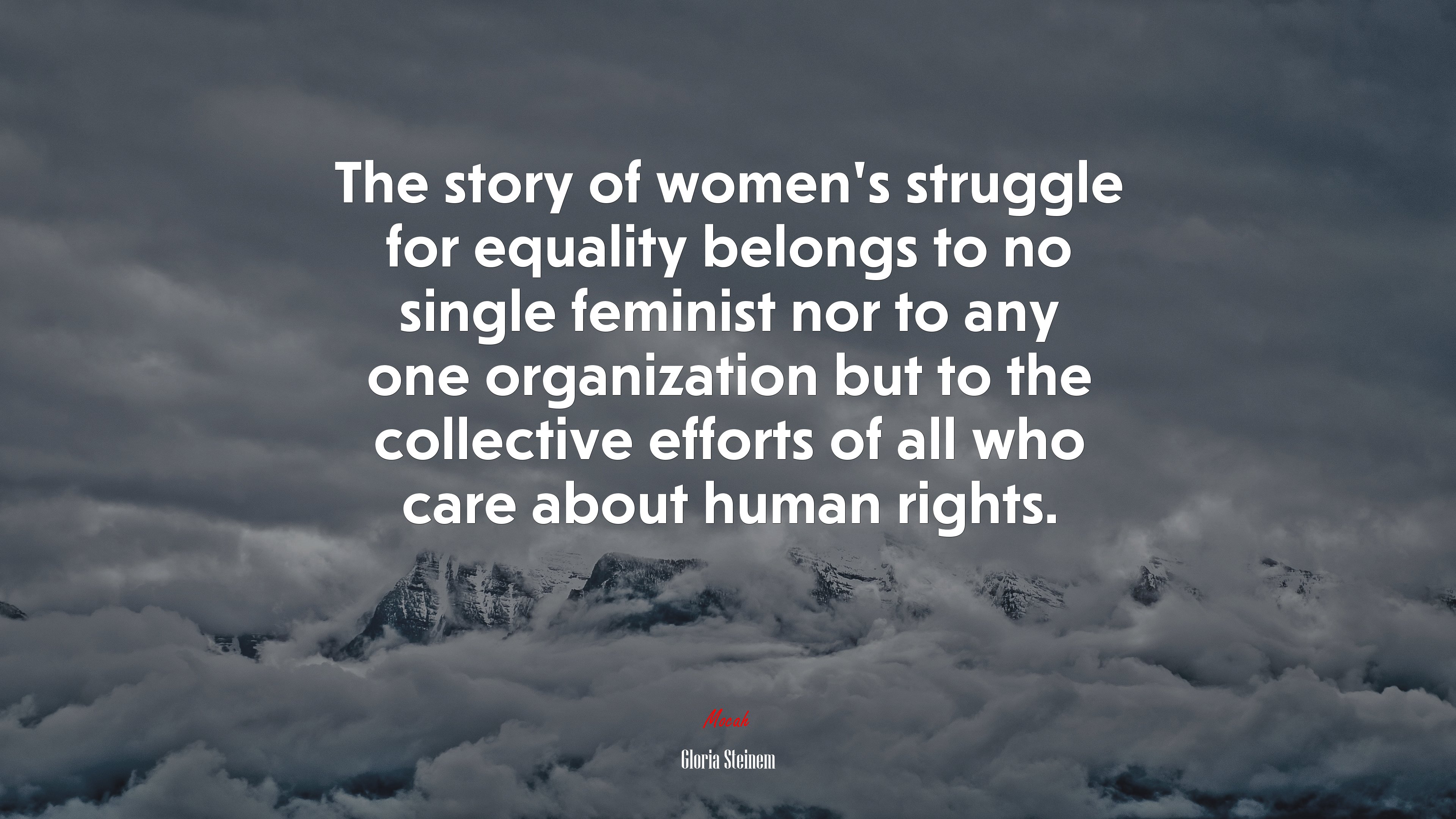 The story of women’s struggle for equality belongs to no single feminist nor to any one organization but to the collective efforts of all who care about human rights. | Gloria Steinem quote HD Wallpaper