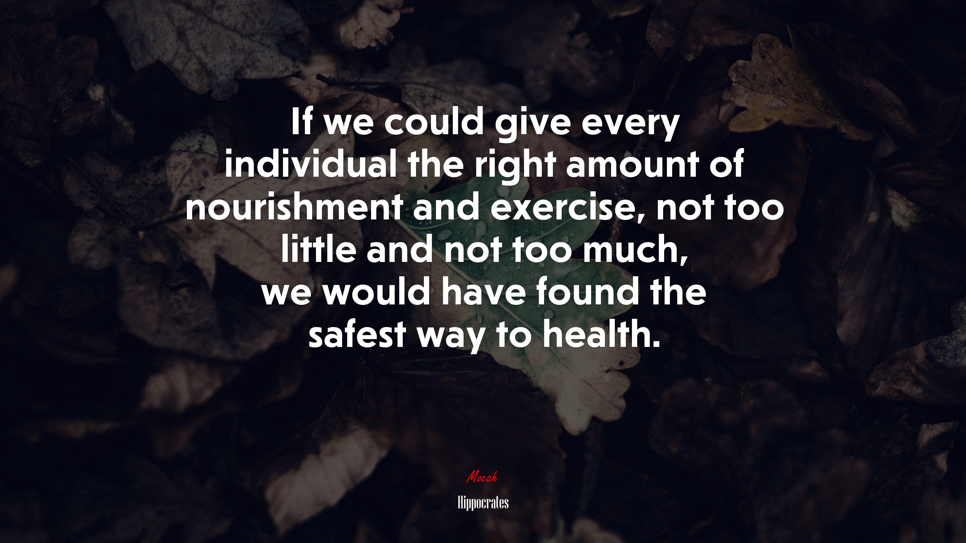 If we could give every individual the right amount of nourishment and exercise, not too little and not too much, we would have found the safest way to health. | Hippocrates quote HD Wallpaper