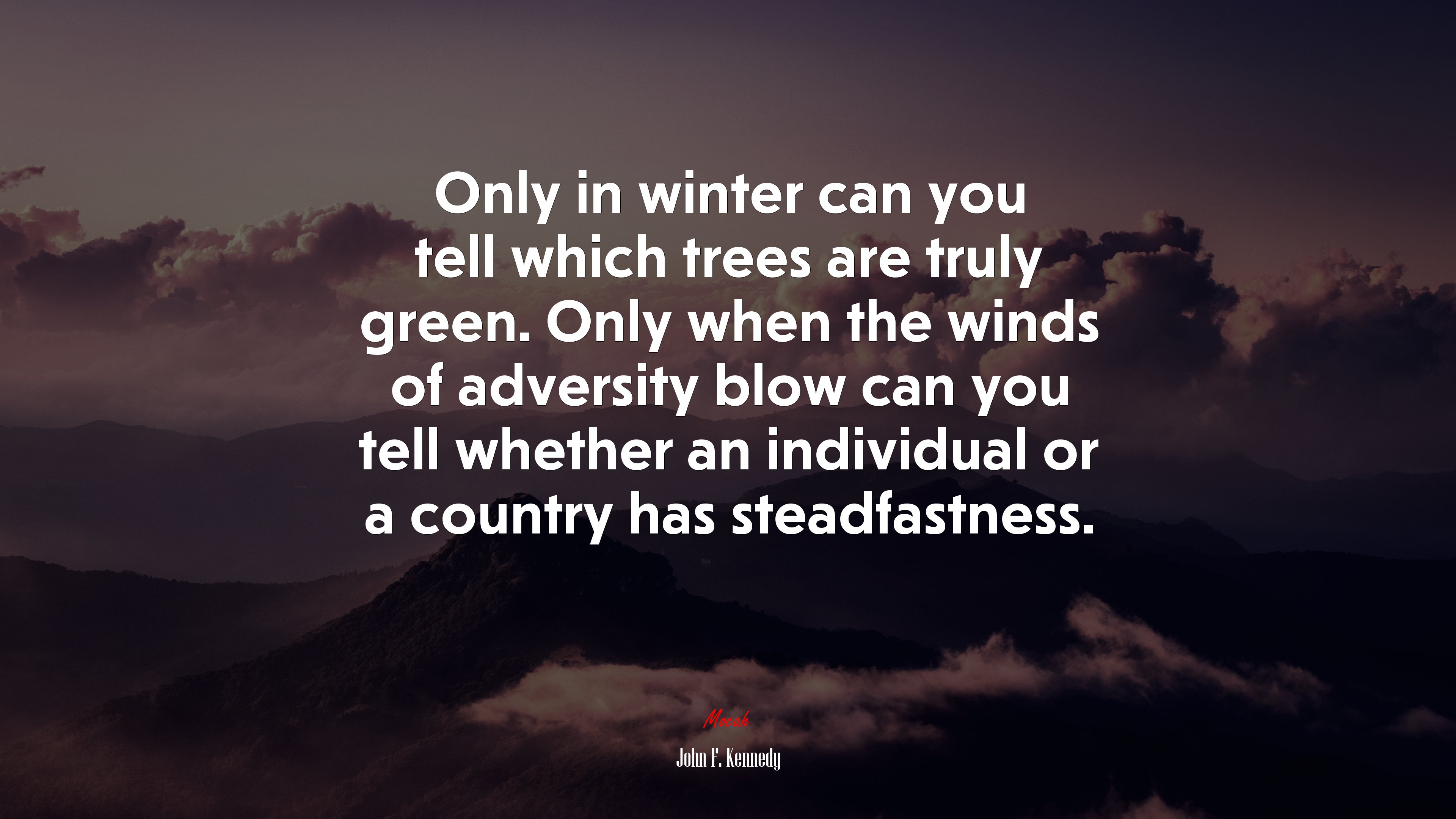 Only in winter can you tell which trees are truly green. Only when the winds of adversity blow can you tell whether an individual or a country has steadfastness. | John F. Kennedy quote HD Wallpaper