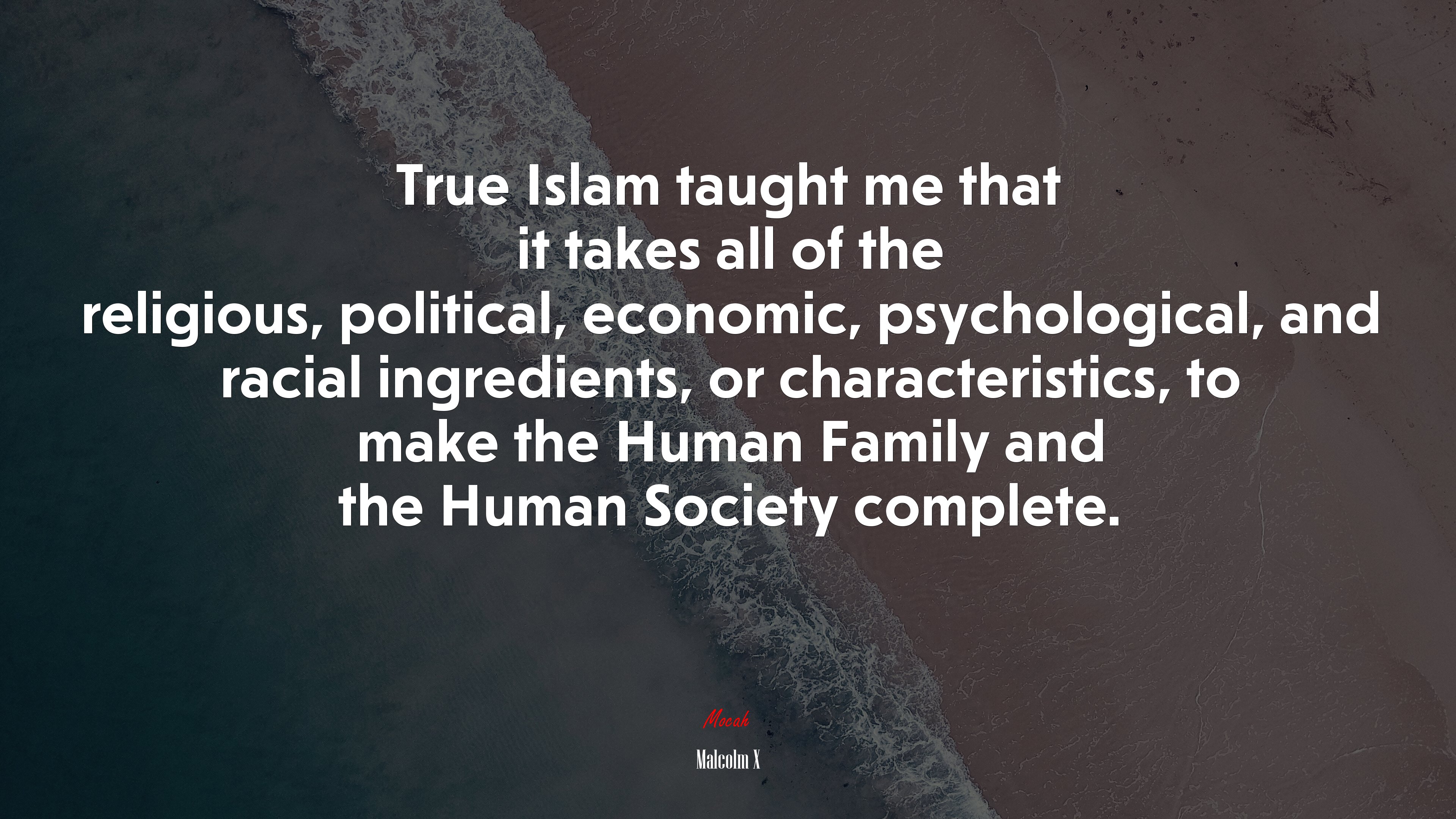 True Islam taught me that it takes all of the religious, political, economic, psychological, and racial ingredients, or characteristics, to make the Human Family and the Human Society complete. | Malcolm X quote HD Wallpaper