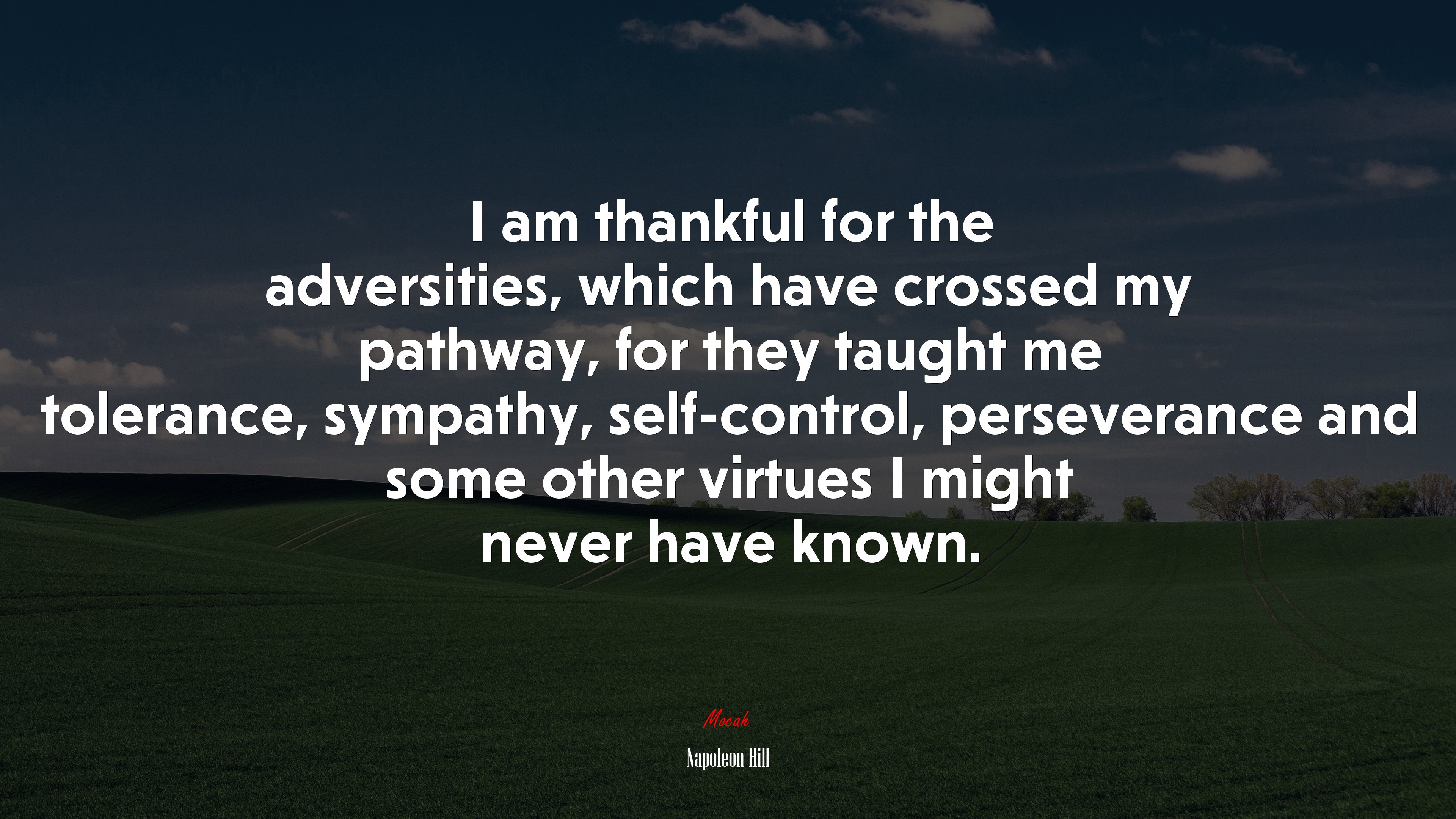 I am thankful for the adversities, which have crossed my pathway, for they taught me tolerance, sympathy, self-control, perseverance and some other virtues I might never have known. | Napoleon Hill quote HD Wallpaper
