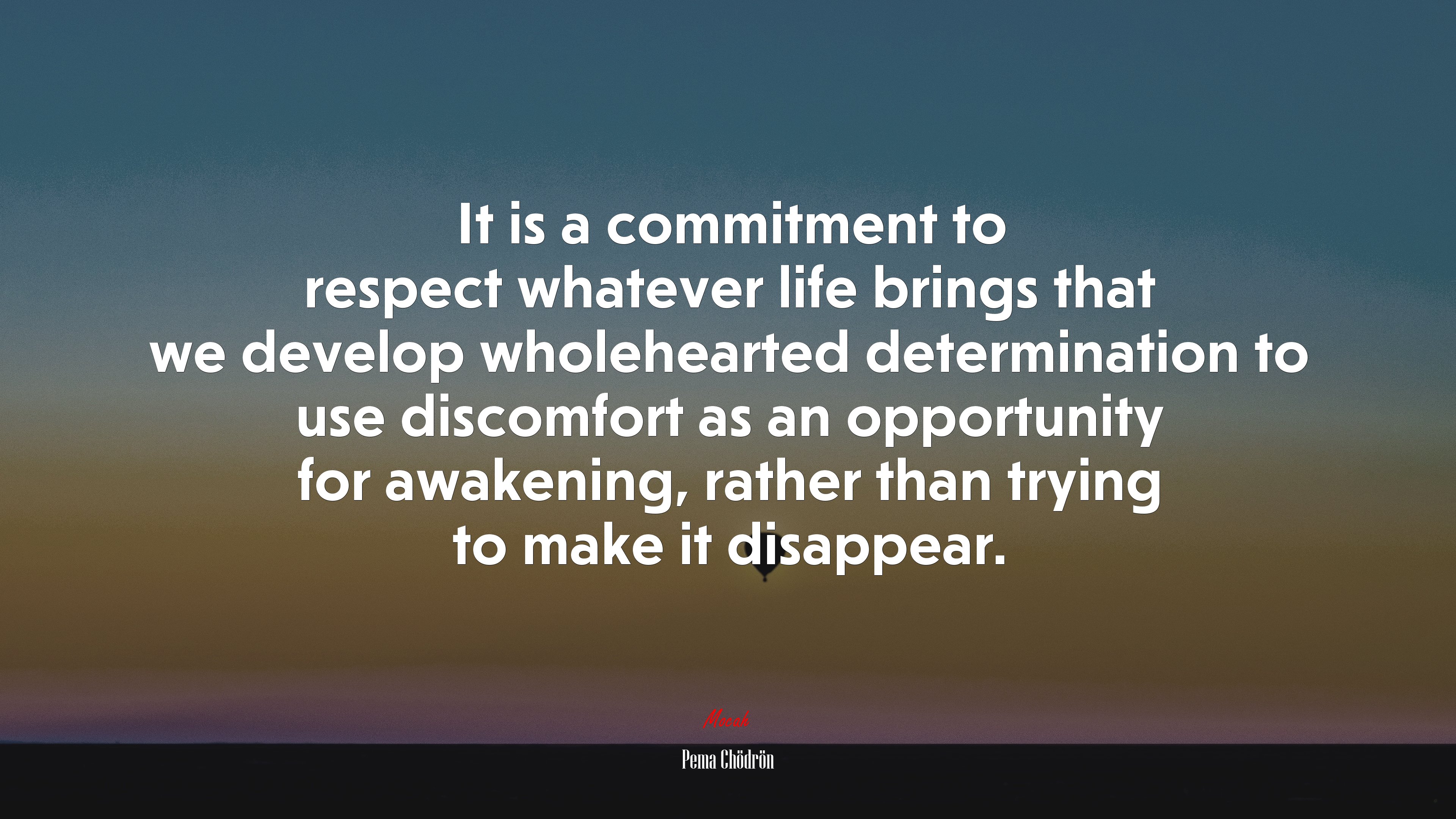 It is a commitment to respect whatever life brings that we develop wholehearted determination to use discomfort as an opportunity for awakening, rather than trying to make it disappear. | Pema Chödrön quote HD Wallpaper