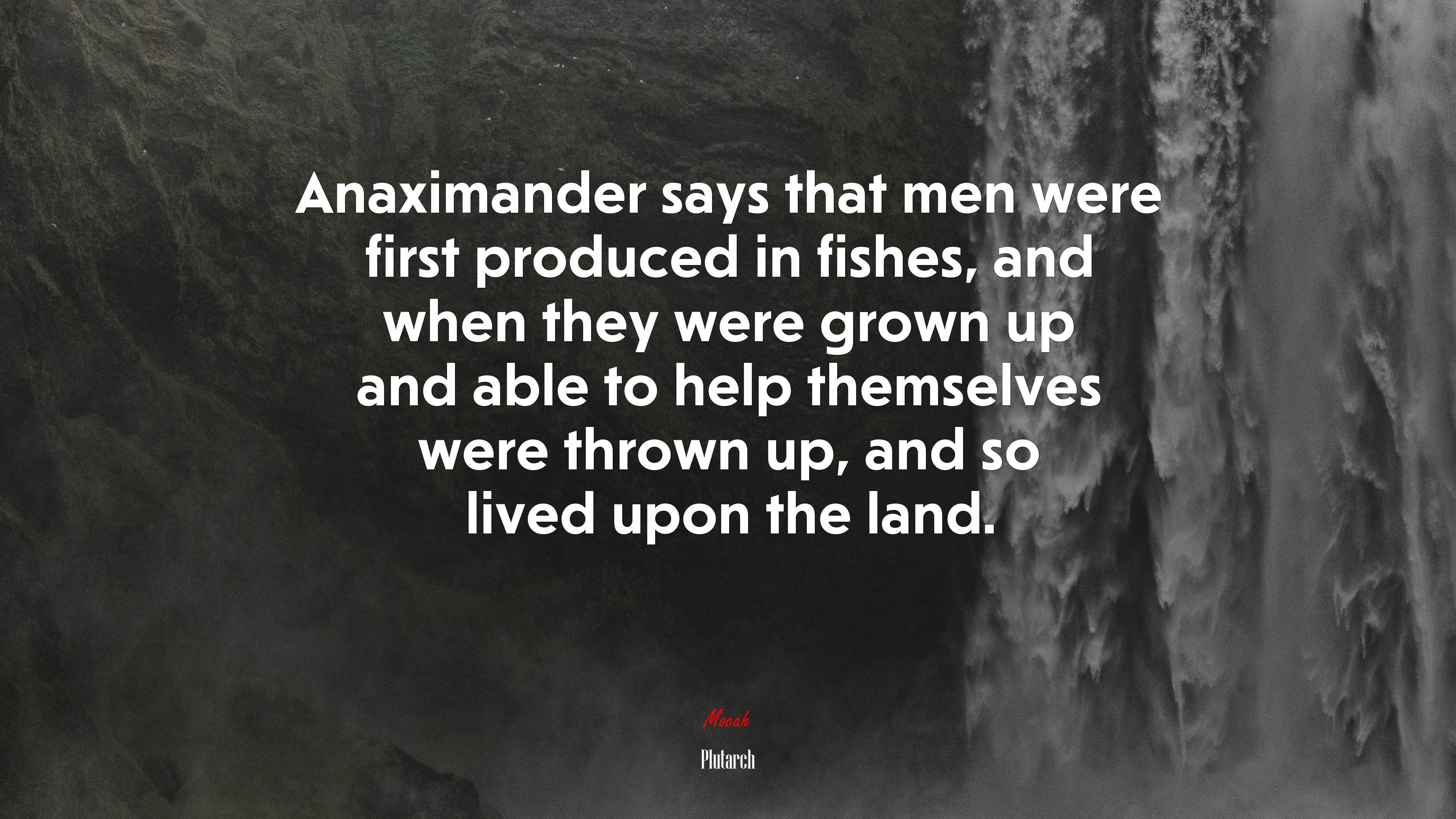 Anaximander says that men were first produced in fishes, and when they were grown up and able to help themselves were thrown up, and so lived upon the land. | Plutarch quote HD Wallpaper