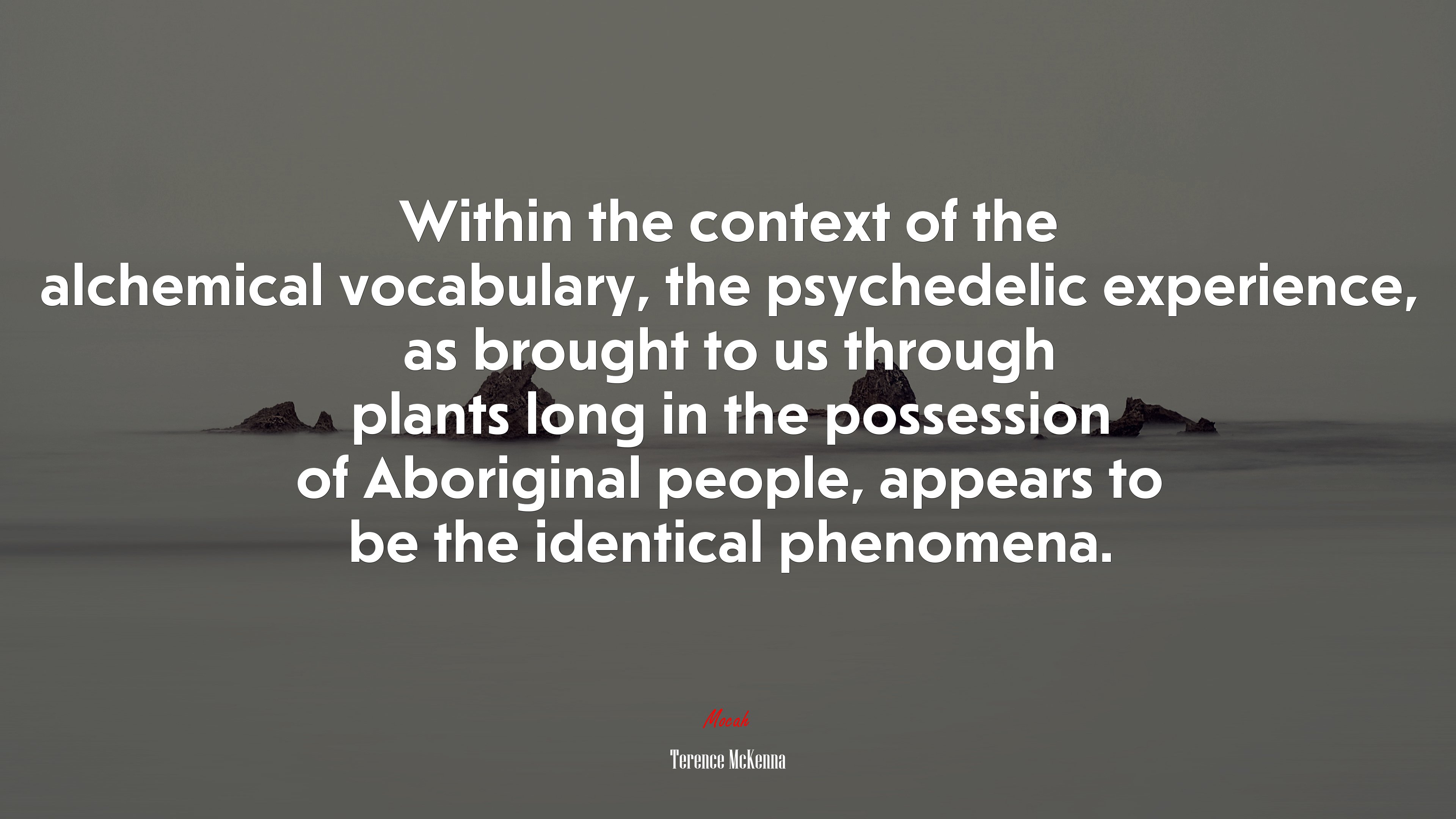 Within the context of the alchemical vocabulary, the psychedelic experience, as brought to us through plants long in the possession of Aboriginal people, appears to be the identical phenomena. | Terence McKenna quote HD Wallpaper