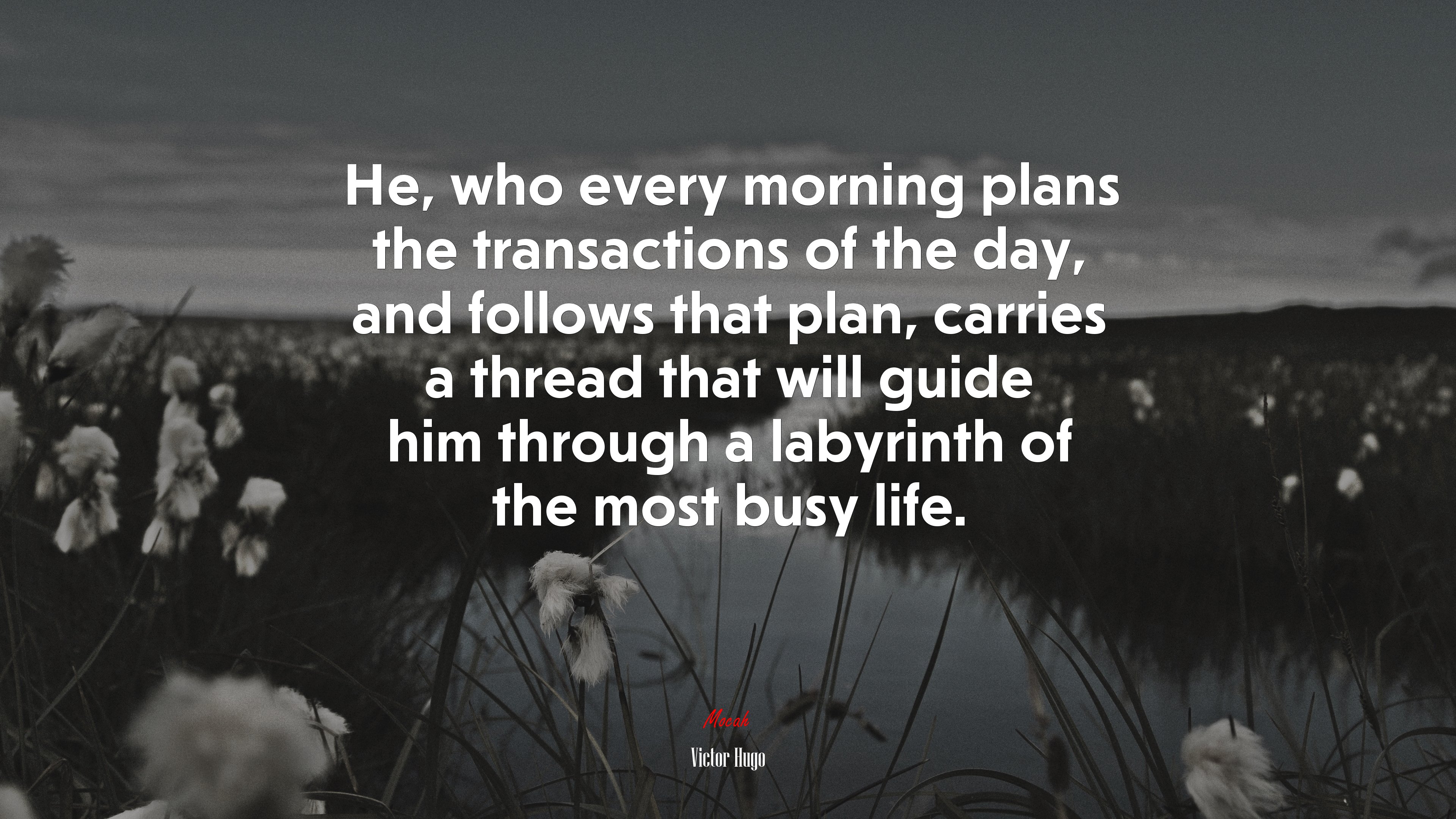 He, who every morning plans the transactions of the day, and follows that plan, carries a thread that will guide him through a labyrinth of the most busy life. | Victor Hugo quote HD Wallpaper