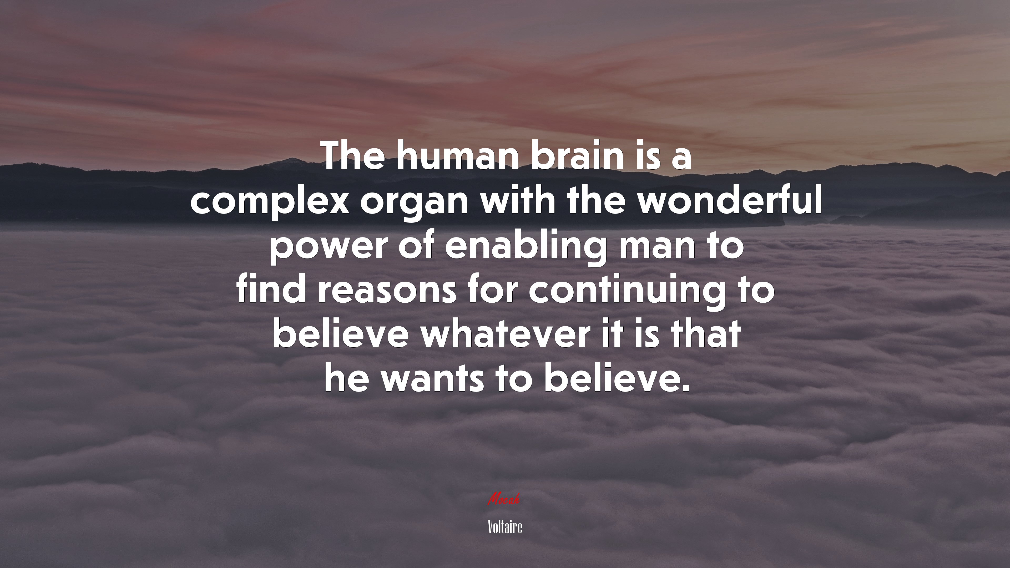 The human brain is a complex organ with the wonderful power of enabling man to find reasons for continuing to believe whatever it is that he wants to believe. | Voltaire quote HD Wallpaper