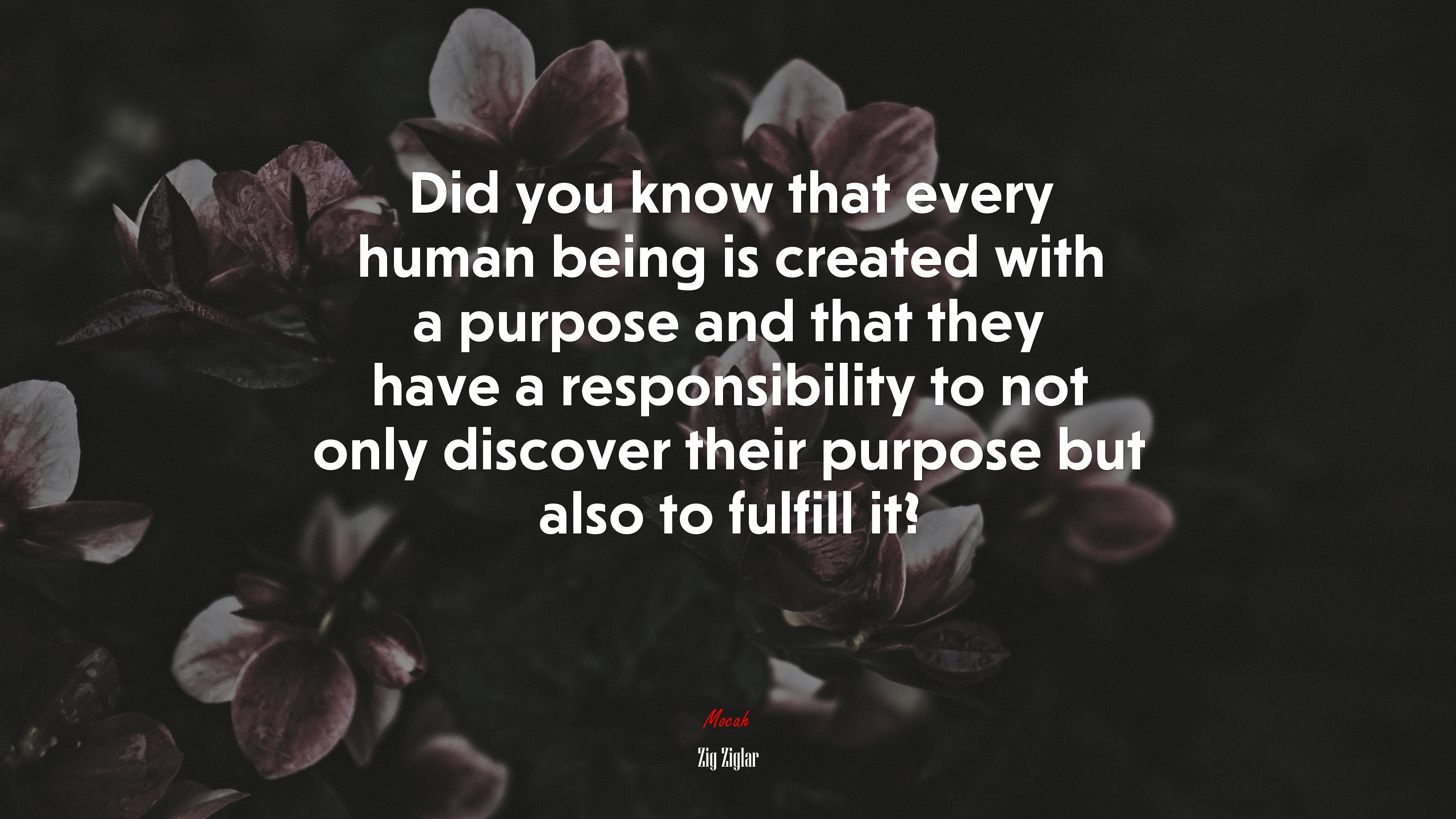 Did you know that every human being is created with a purpose and that they have a responsibility to not only discover their purpose but also to fulfill it? | Zig Ziglar quote HD Wallpaper