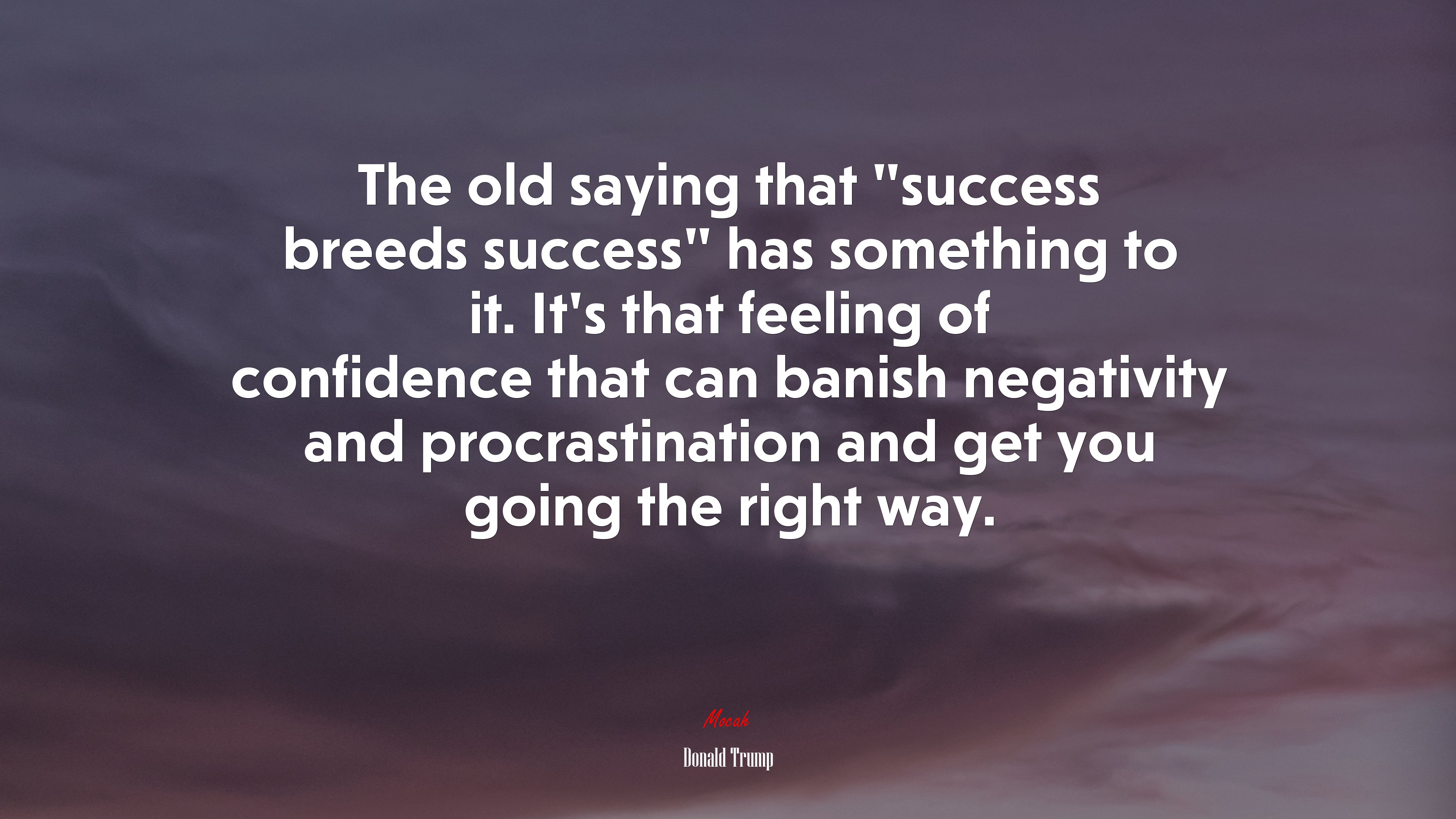 The old saying that “success breeds success” has something to it. It’s that feeling of confidence that can banish negativity and procrastination and get you going the right way. | Donald Trump quote HD Wallpaper