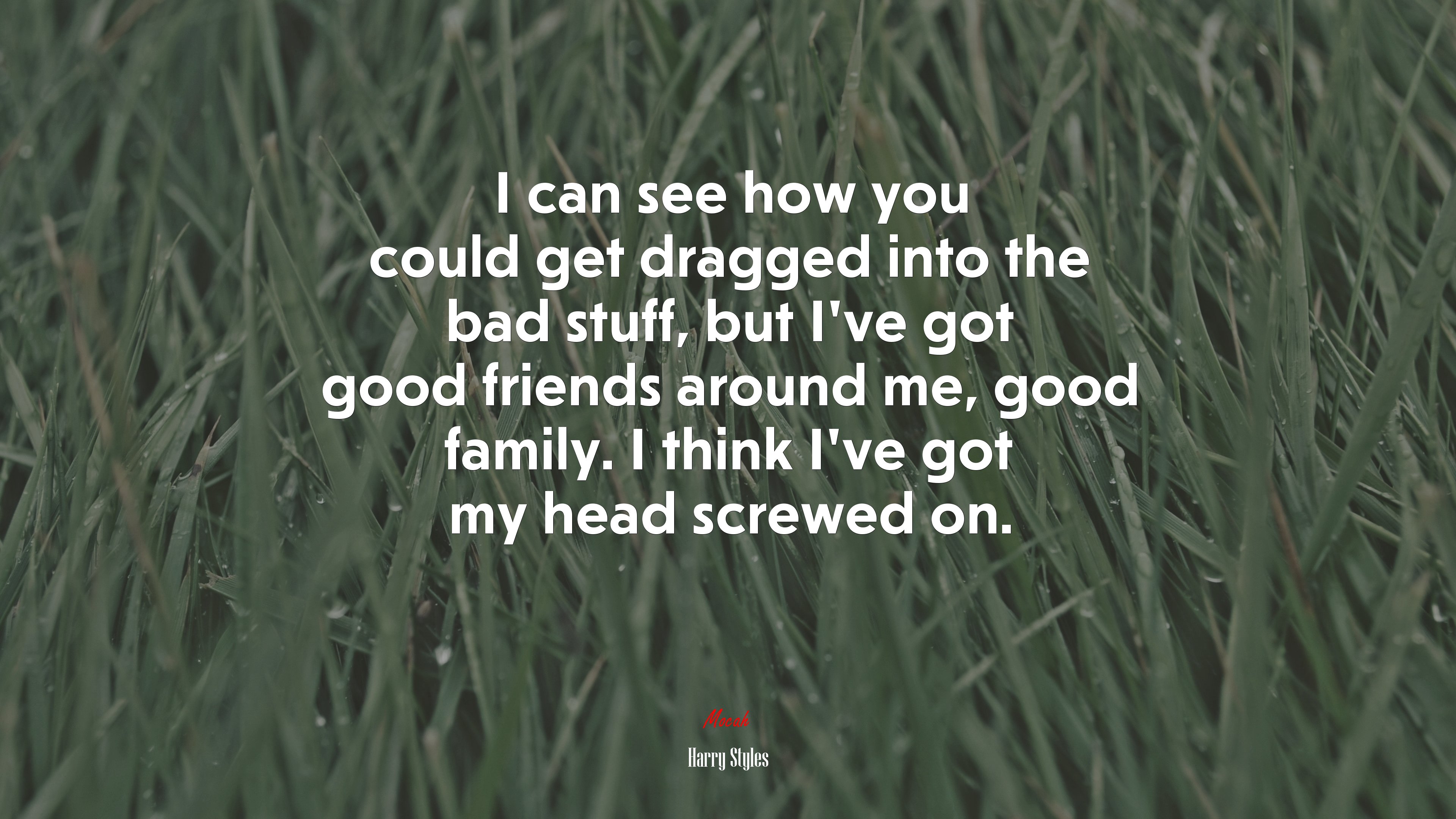I can see how you could get dragged into the bad stuff, but I’ve got good friends around me, good family. I think I’ve got my head screwed on. | Harry Styles quote HD Wallpaper