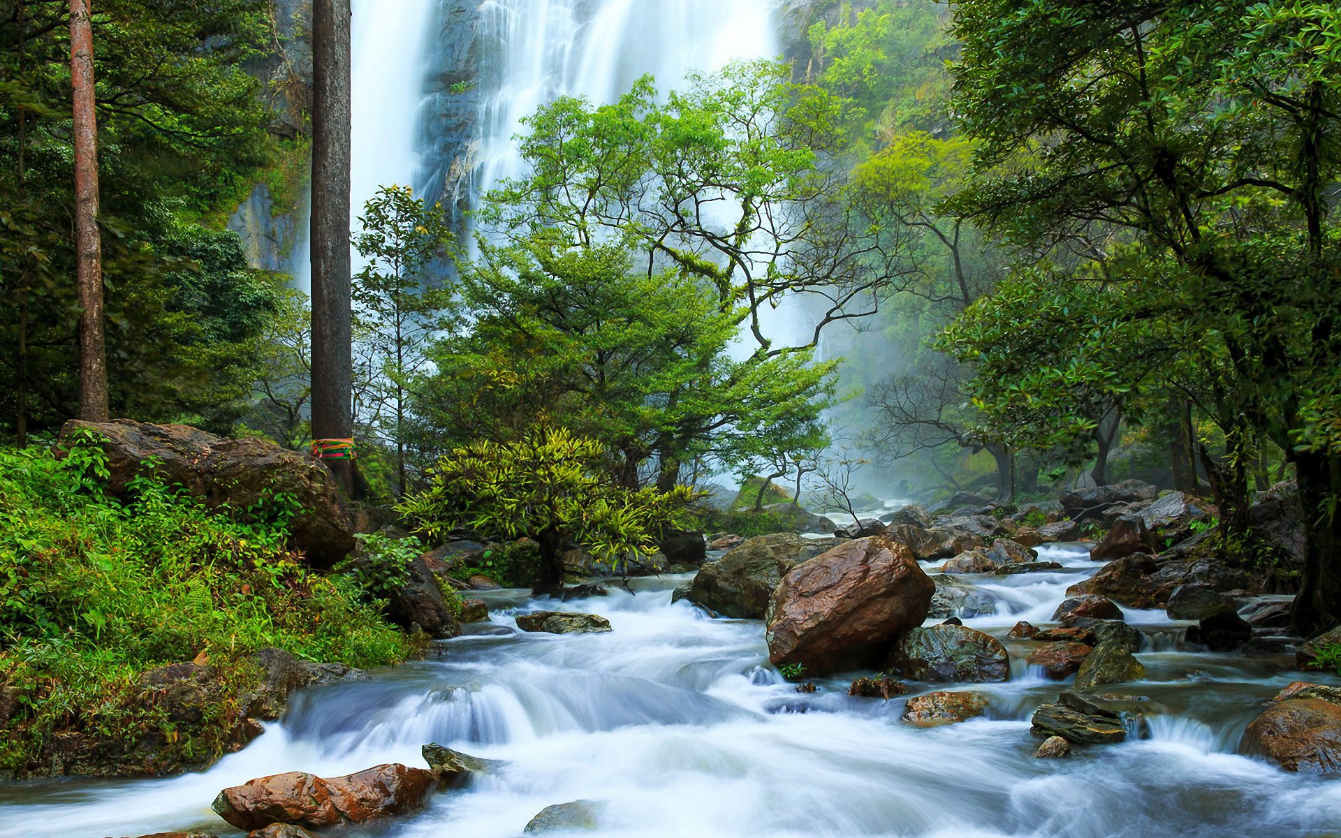 Waterfall flowing through a rocky forest stream HD Wallpaper