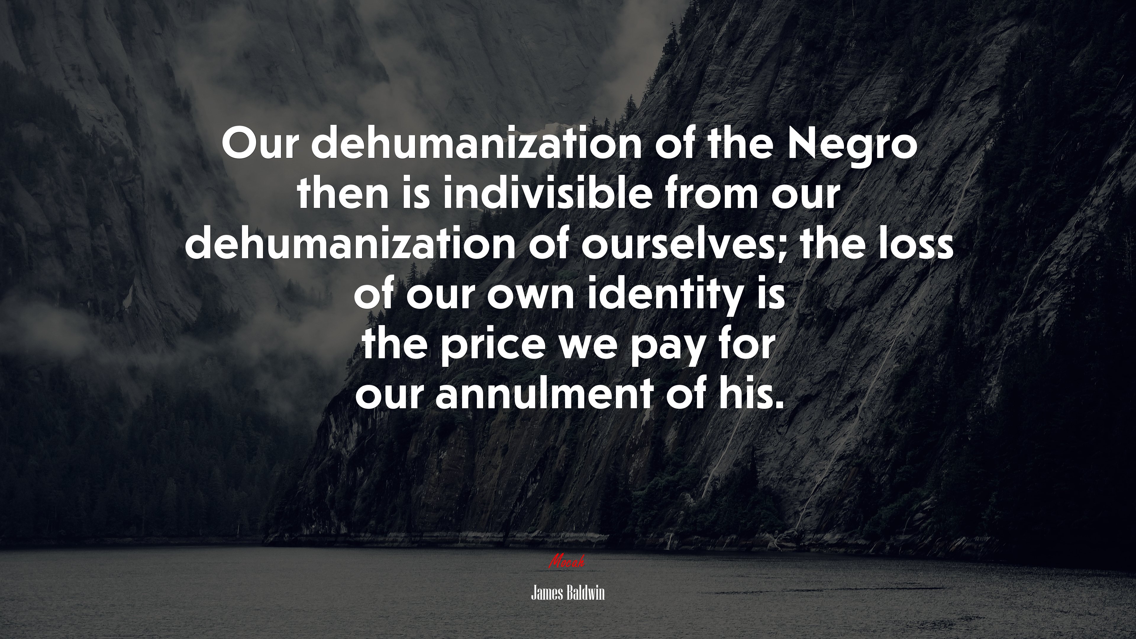 Our dehumanization of the Negro then is indivisible from our dehumanization of ourselves; the loss of our own identity is the price we pay for our annulment of his. | James Baldwin quote HD Wallpaper