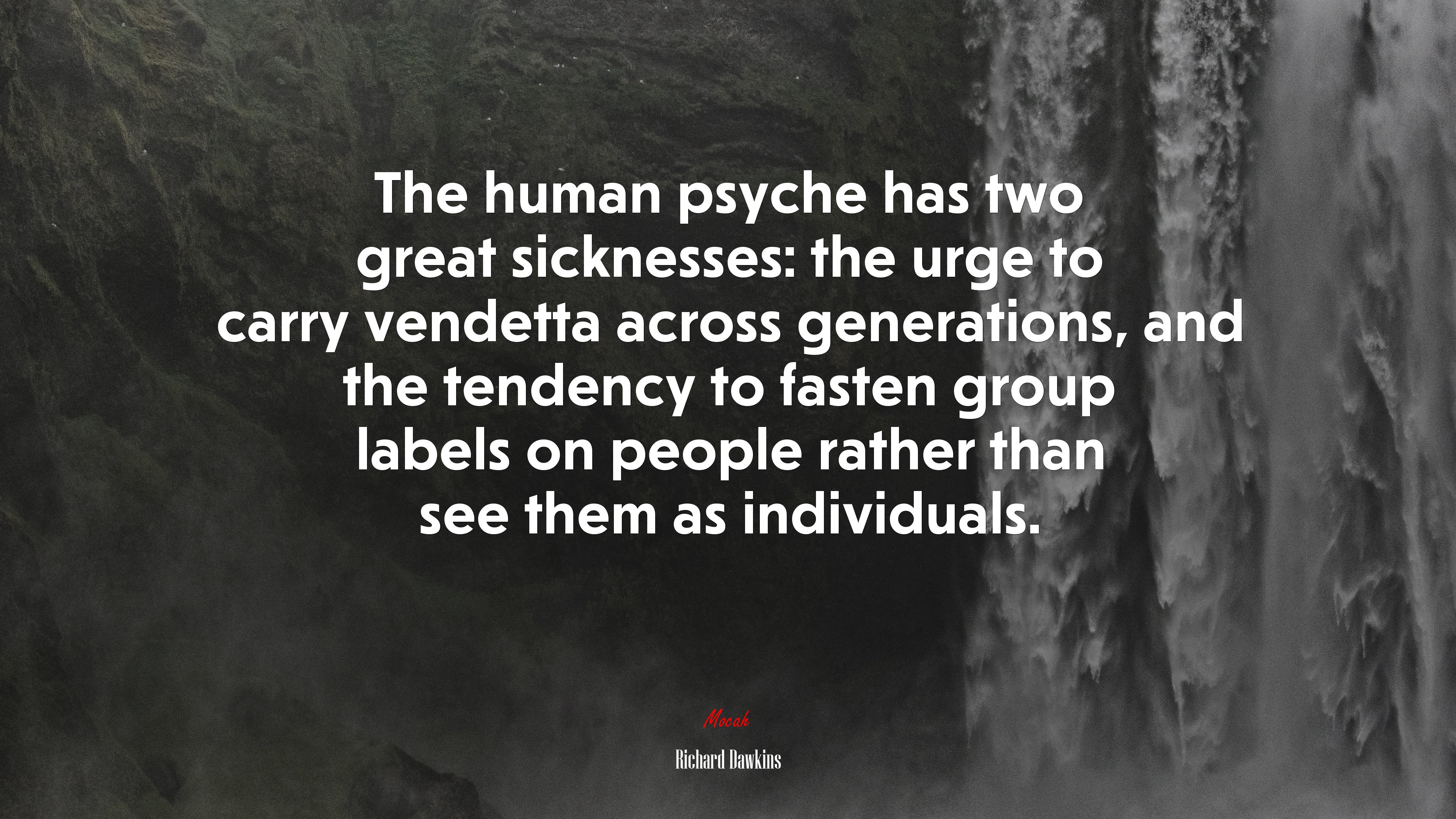 The human psyche has two great sicknesses: the urge to carry vendetta across generations, and the tendency to fasten group labels on people rather than see them as individuals. | Richard Dawkins quote HD Wallpaper