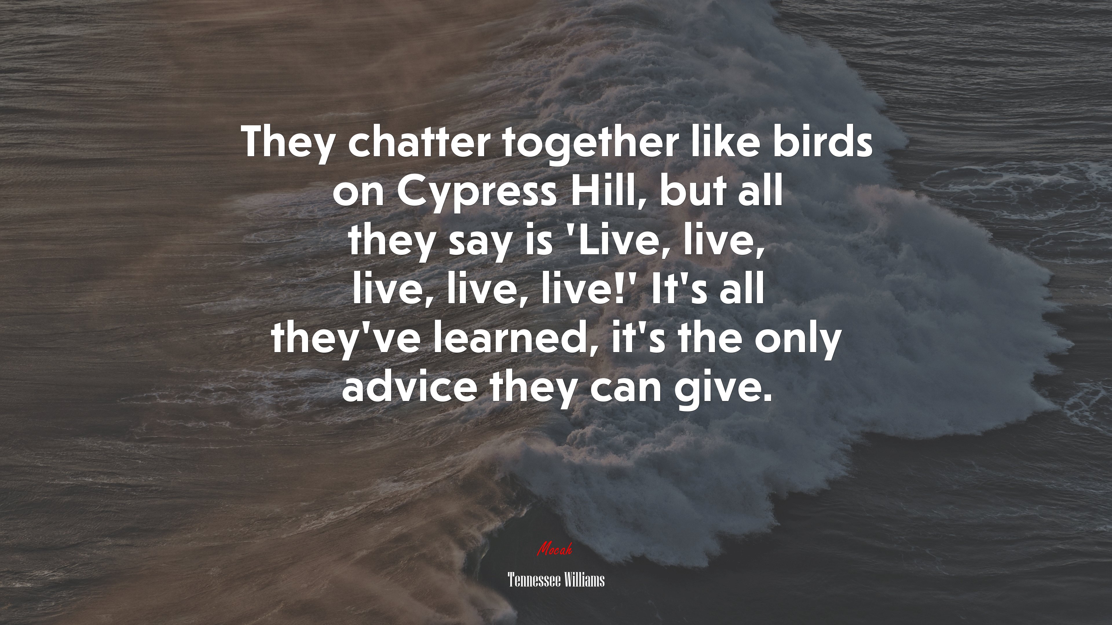 They chatter together like birds on Cypress Hill, but all they say is ‘Live, live, live, live, live!’ It’s all they’ve learned, it’s the only advice they can give. | Tennessee Williams quote HD Wallpaper