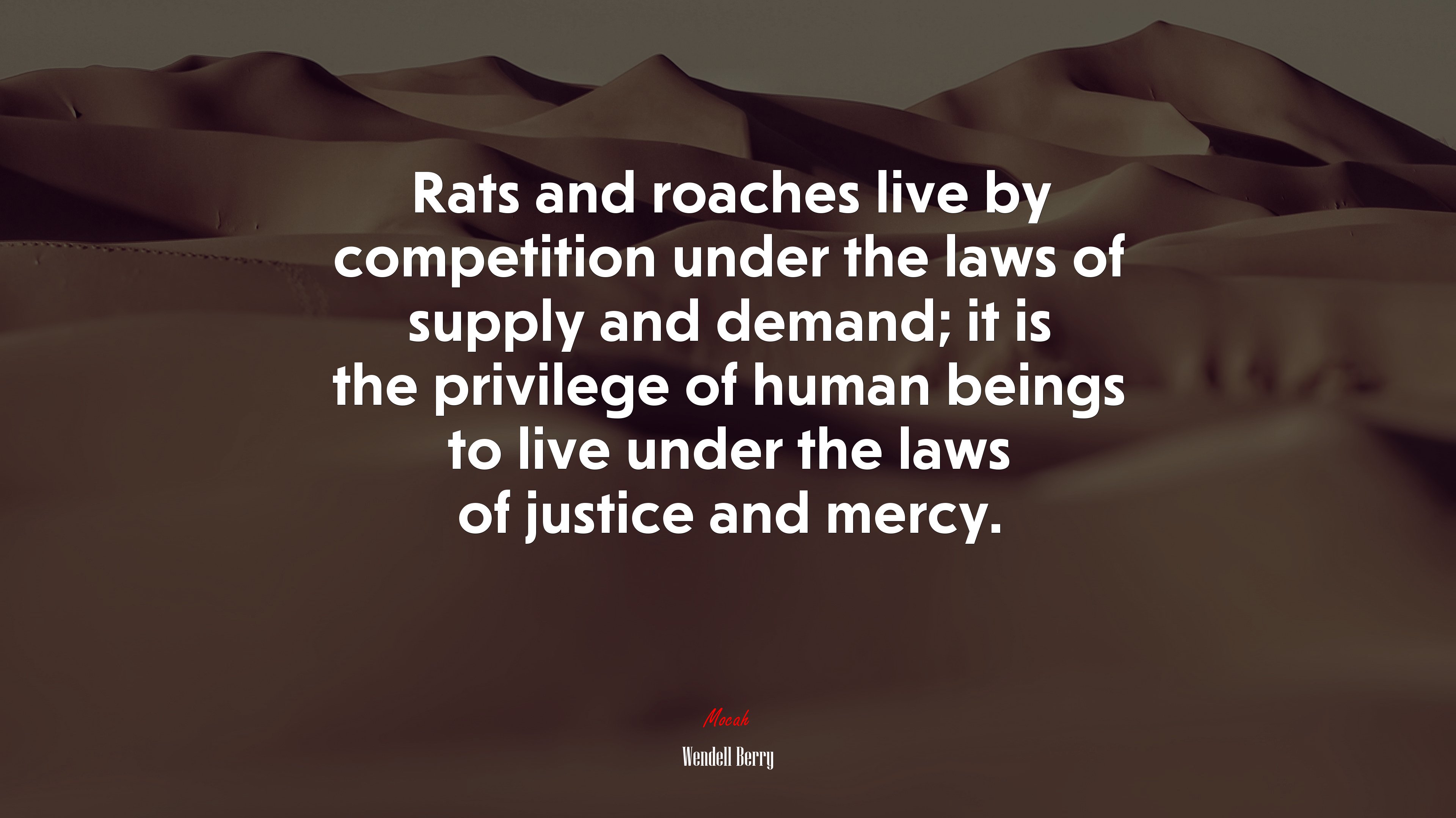 Rats and roaches live by competition under the laws of supply and demand; it is the privilege of human beings to live under the laws of justice and mercy. | Wendell Berry quote HD Wallpaper