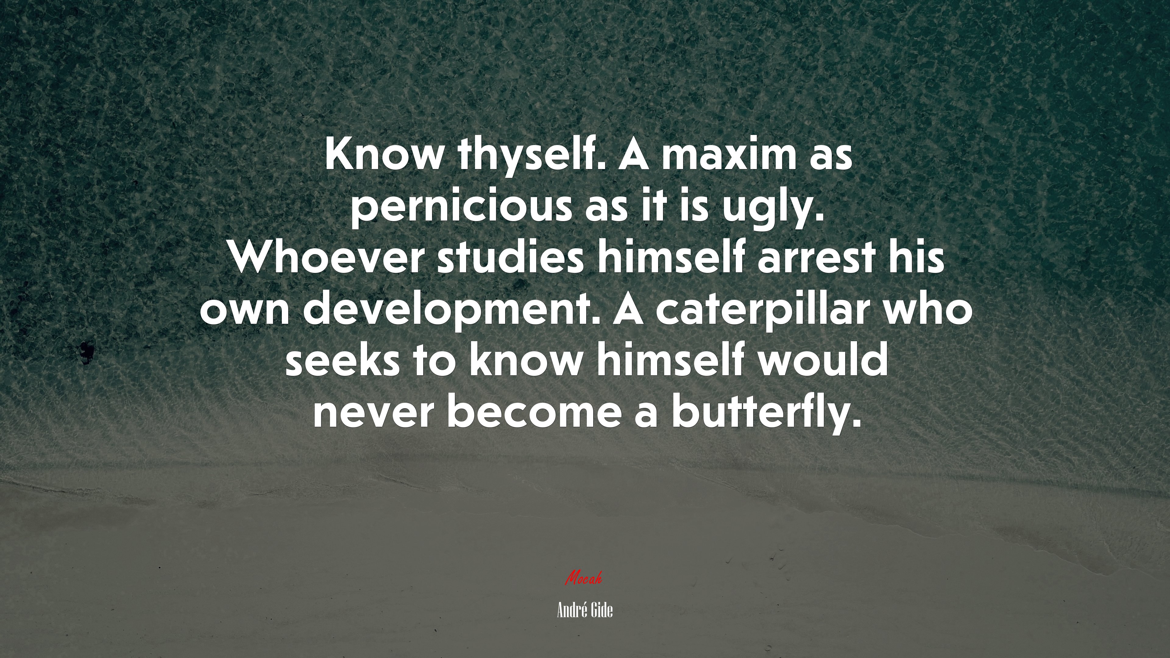 Know thyself. A maxim as pernicious as it is ugly. Whoever studies himself arrest his own development. A caterpillar who seeks to know himself would never become a butterfly. | André Gide quote HD Wallpaper