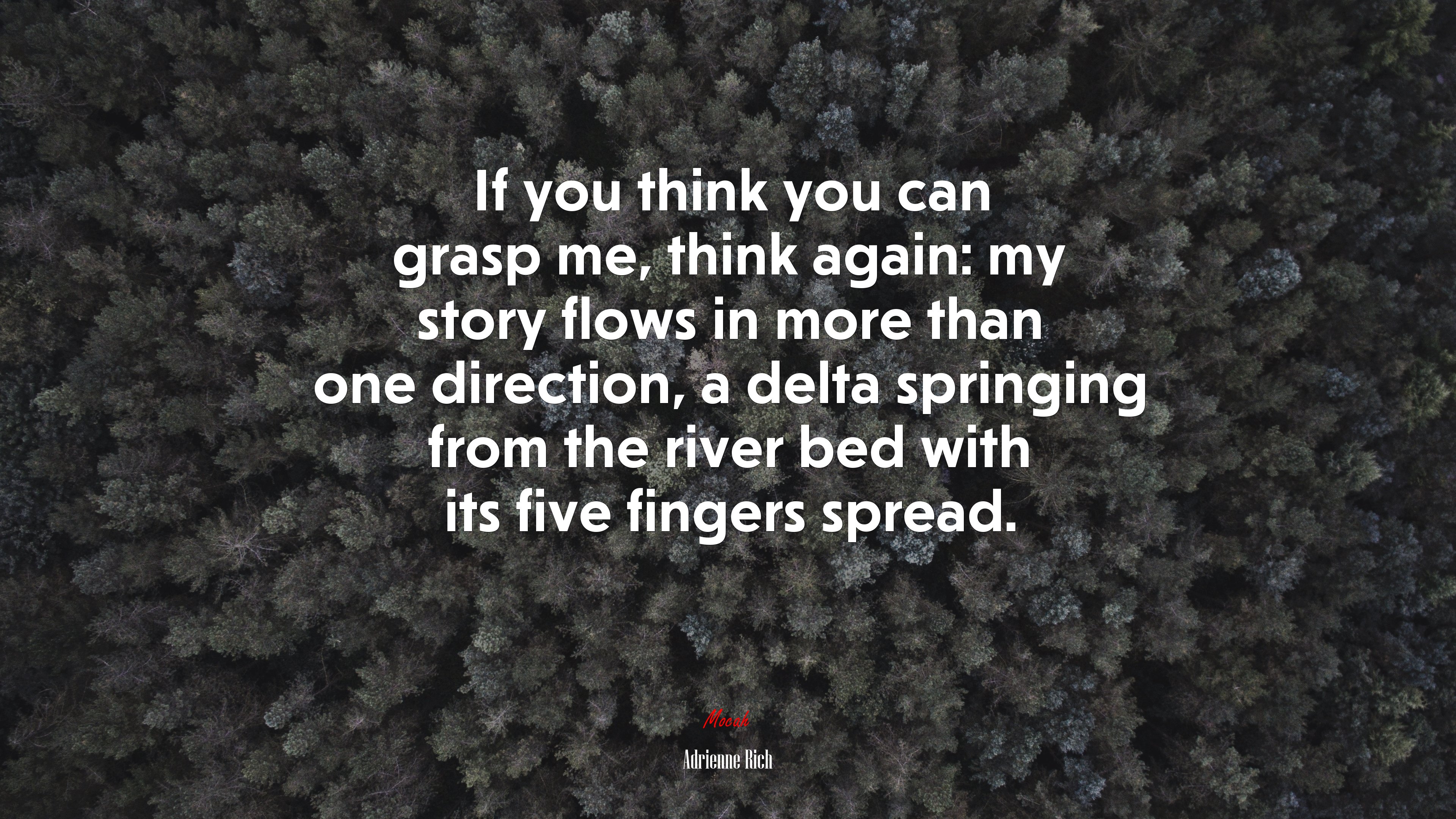 If you think you can grasp me, think again: my story flows in more than one direction, a delta springing from the river bed with its five fingers spread. | Adrienne Rich quote HD Wallpaper