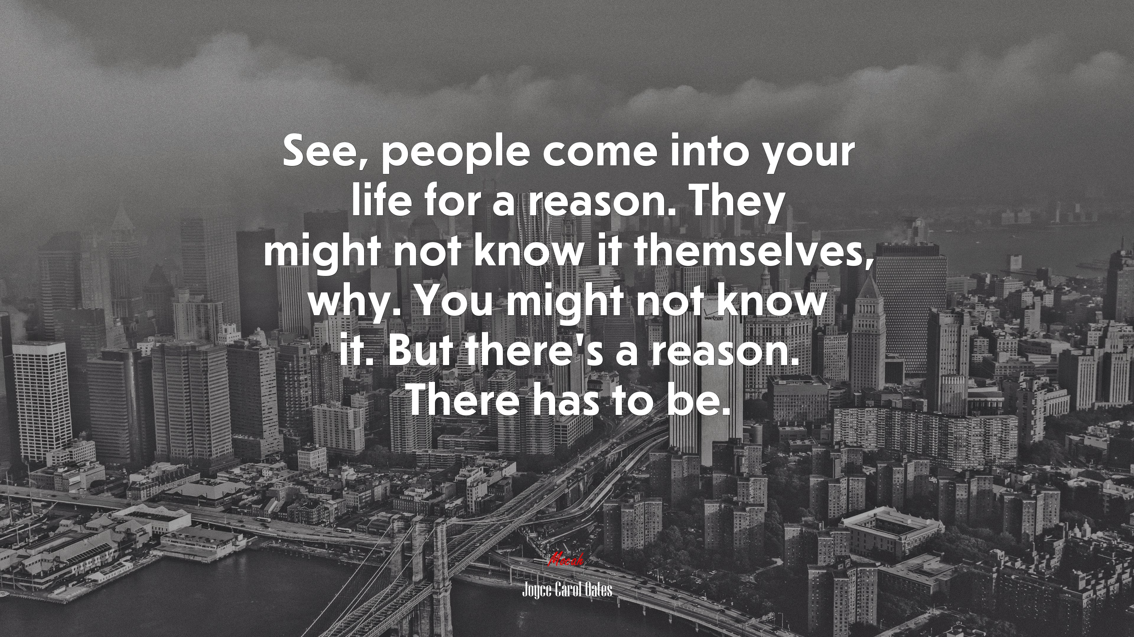See, people come into your life for a reason. They might not know it themselves, why. You might not know it. But there’s a reason. There has to be. | Joyce Carol Oates quote HD Wallpaper