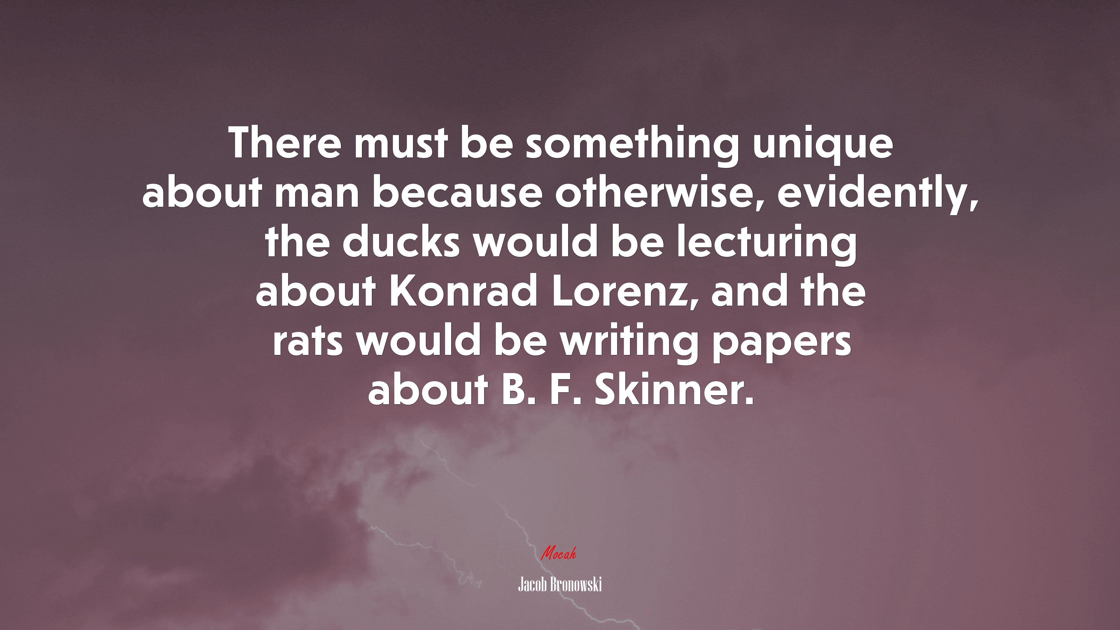 There must be something unique about man because otherwise, evidently, the ducks would be lecturing about Konrad Lorenz, and the rats would be writing papers about B. F. Skinner. | Jacob Bronowski quote HD Wallpaper