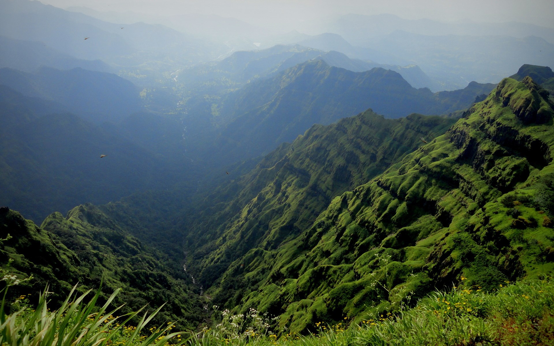 Green mountains and valleys with birds flying HD Wallpaper