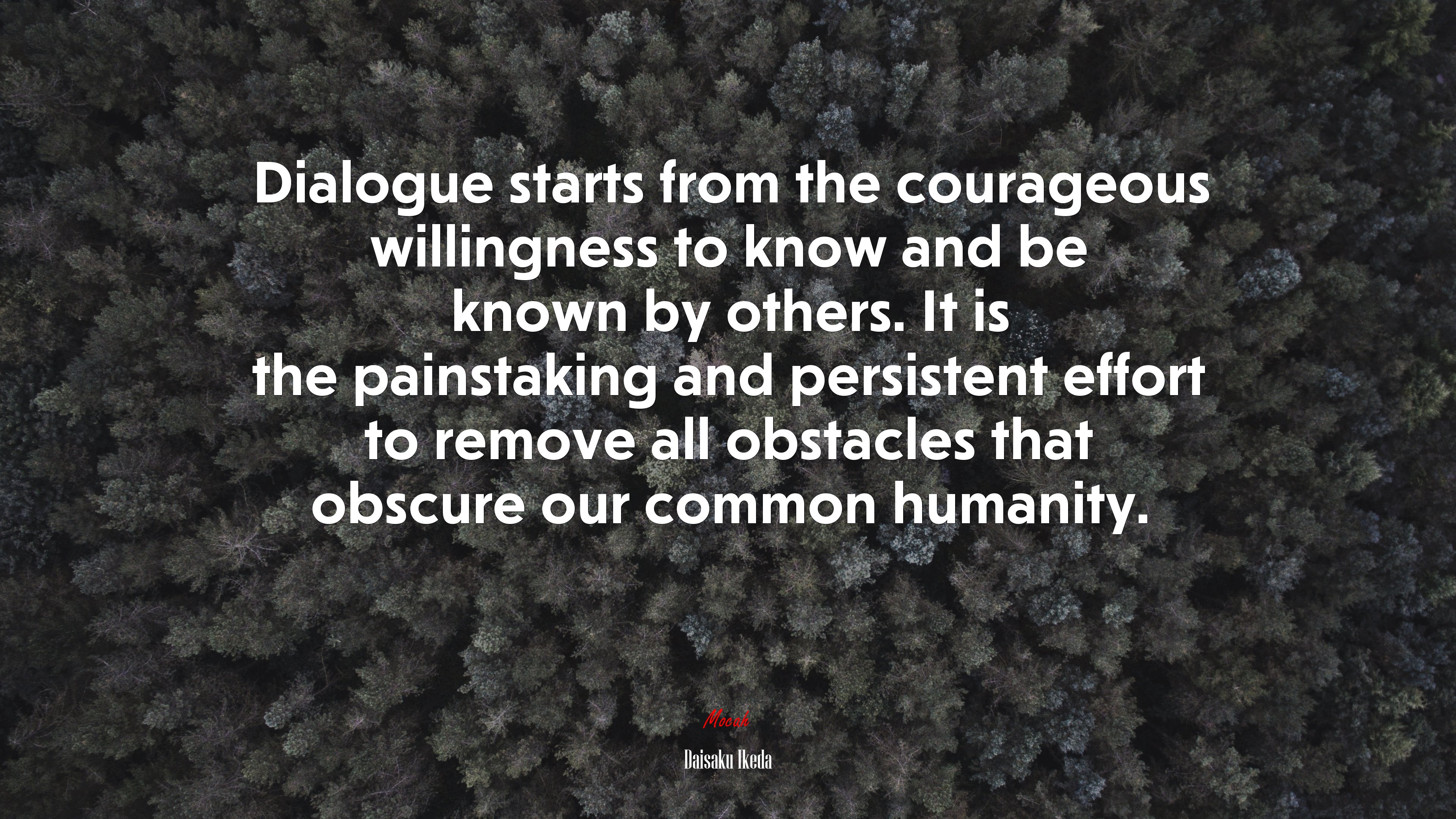 Dialogue starts from the courageous willingness to know and be known by others. It is the painstaking and persistent effort to remove all obstacles that obscure our common humanity. | Daisaku Ikeda quote HD Wallpaper