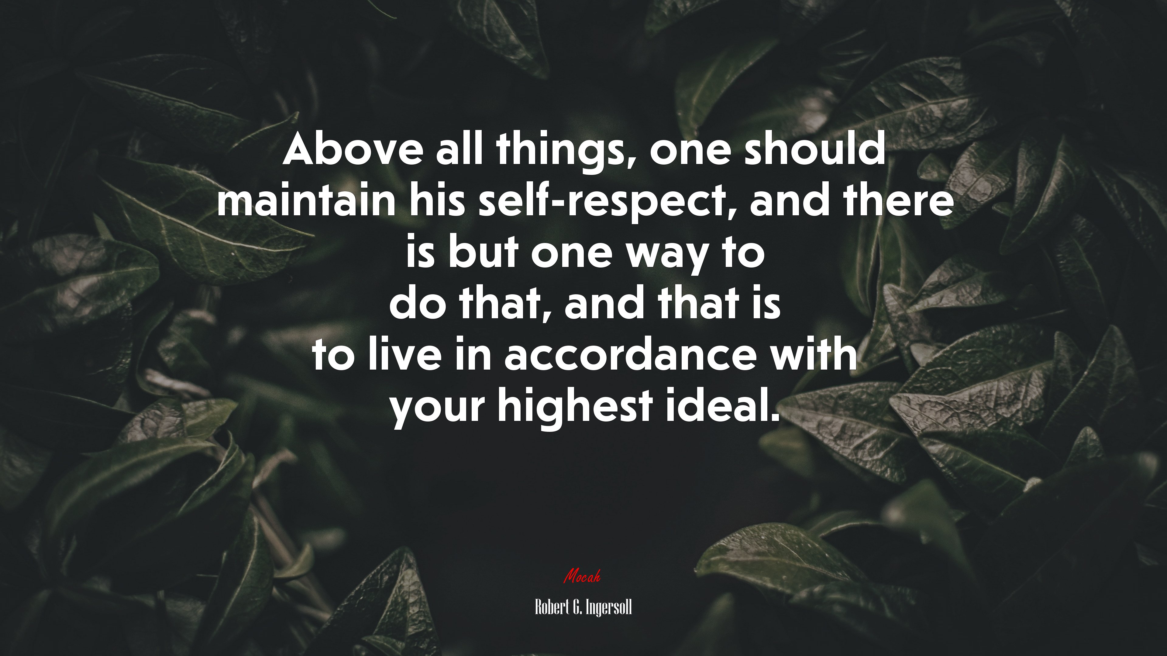 Above all things, one should maintain his self-respect, and there is but one way to do that, and that is to live in accordance with your highest ideal. | Robert G. Ingersoll quote HD Wallpaper