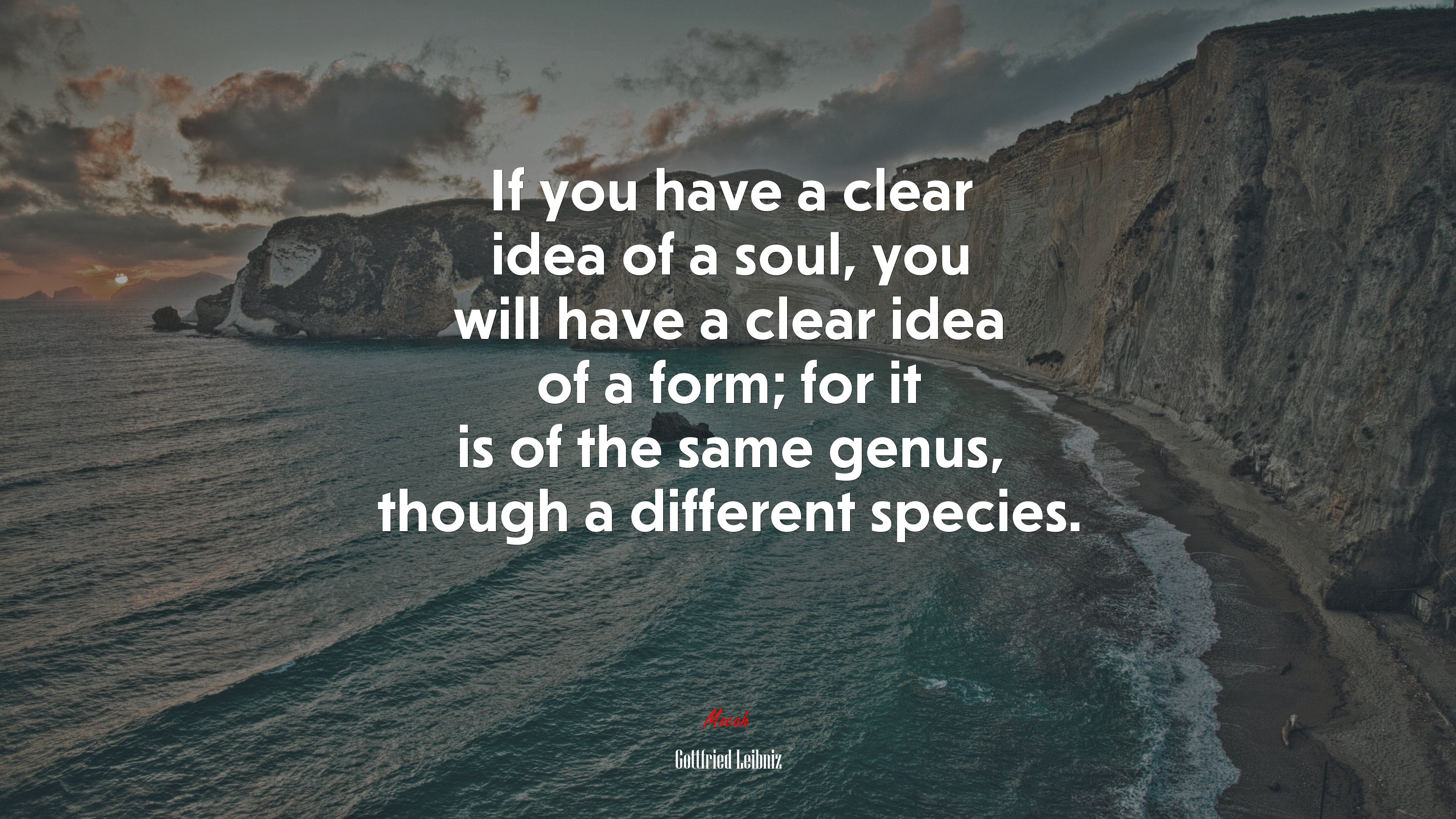 If you have a clear idea of a soul, you will have a clear idea of a form; for it is of the same genus, though a different species. | Gottfried Leibniz quote HD Wallpaper