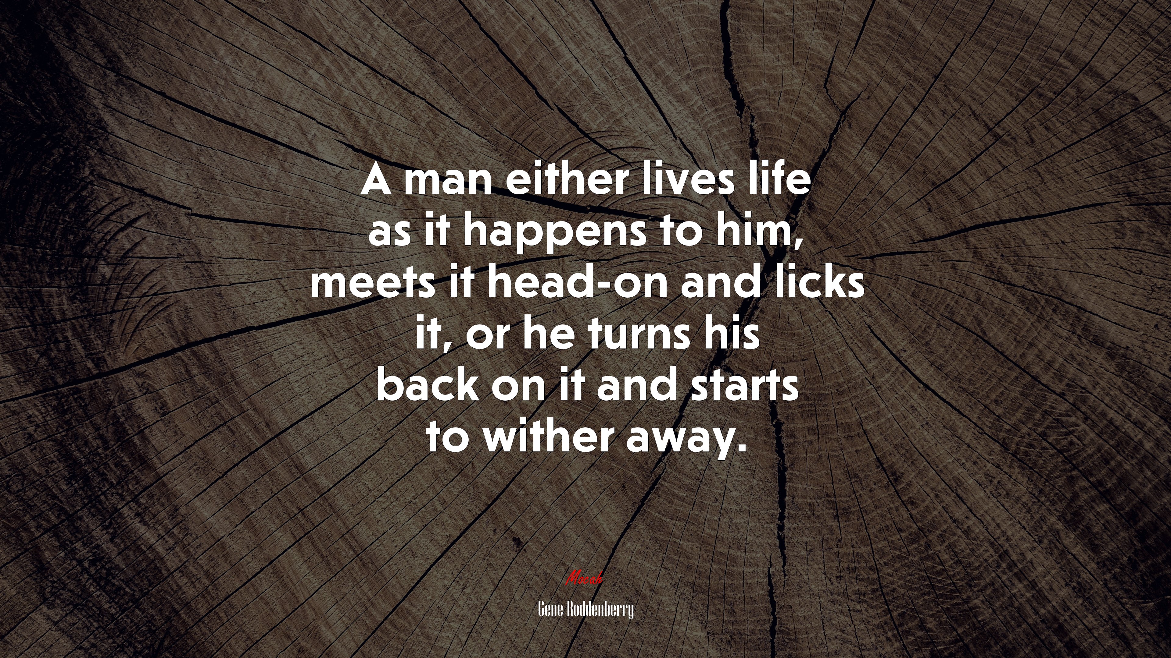 A man either lives life as it happens to him, meets it head-on and licks it, or he turns his back on it and starts to wither away. | Gene Roddenberry quote HD Wallpaper