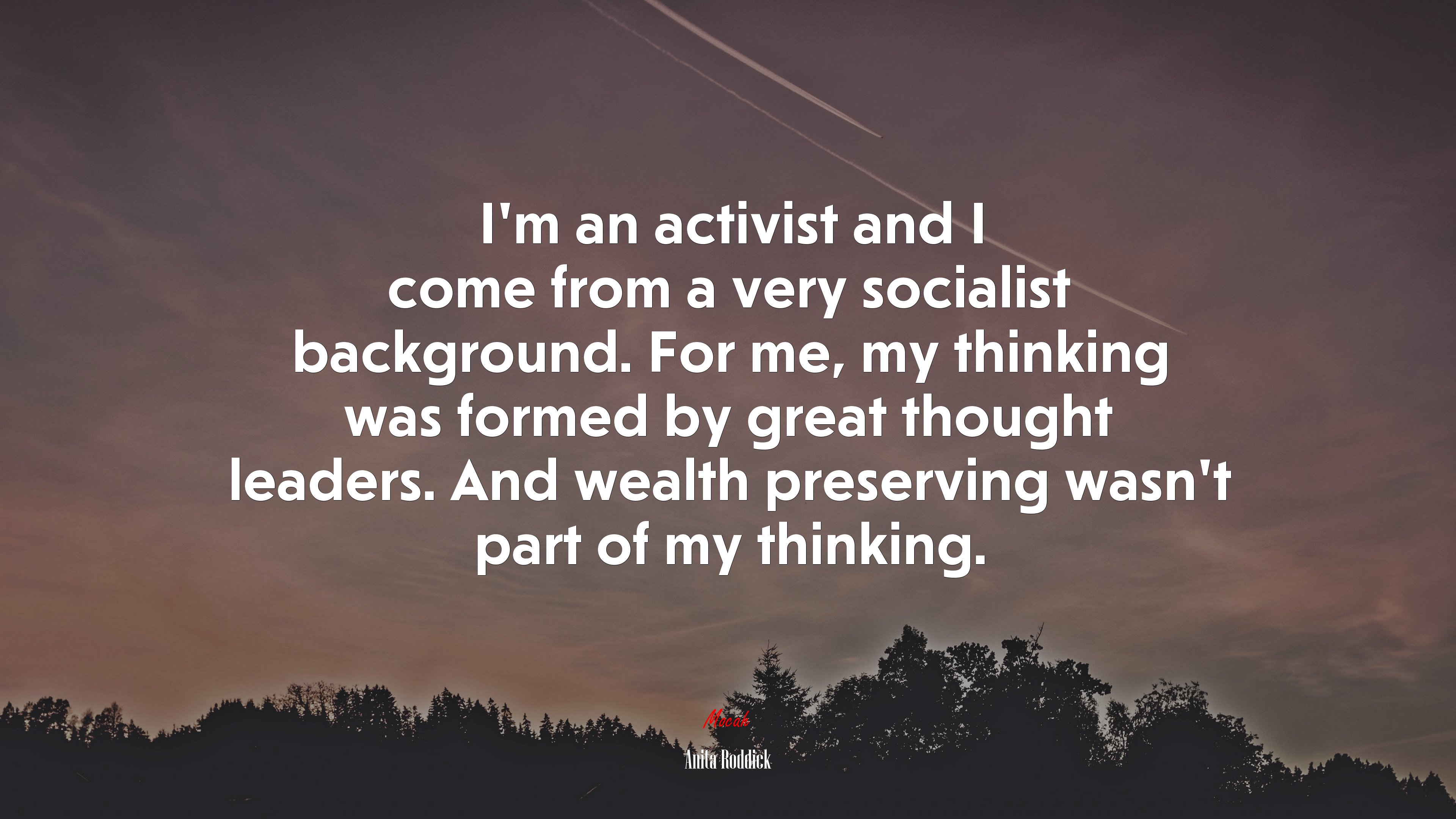 I’m an activist and I come from a very socialist background. For me, my thinking was formed by great thought leaders. And wealth preserving wasn’t part of my thinking. | Anita Roddick quote HD Wallpaper