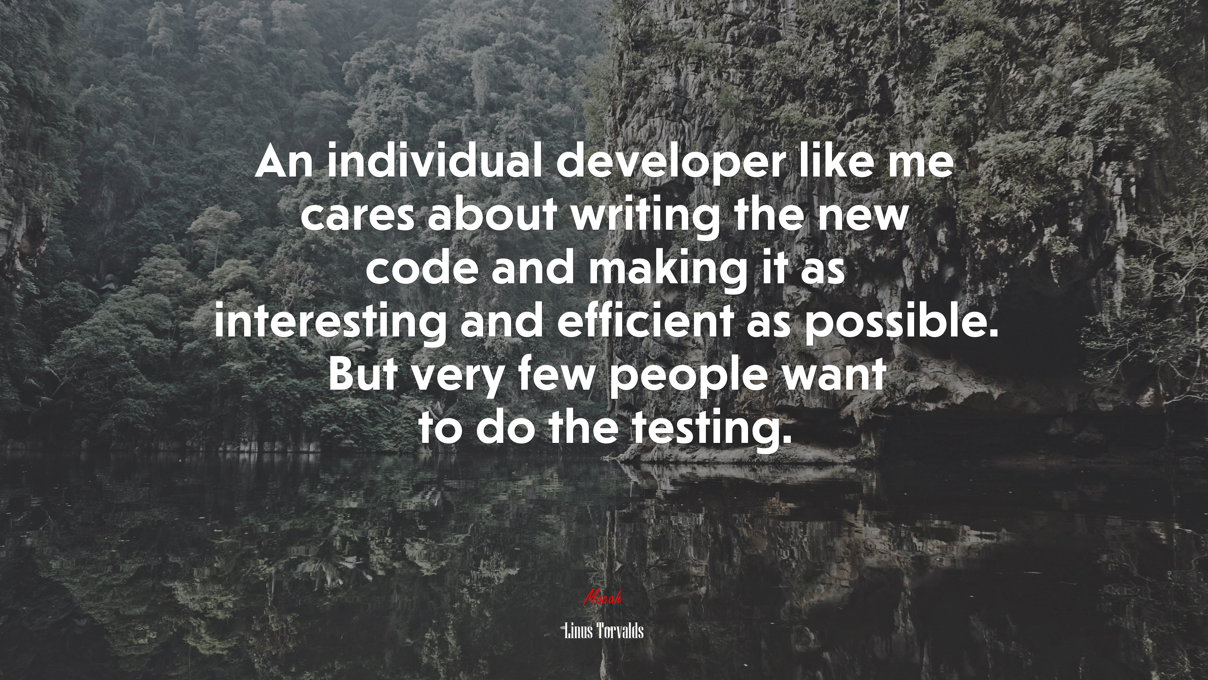 An individual developer like me cares about writing the new code and making it as interesting and efficient as possible. But very few people want to do the testing. | Linus Torvalds quote HD Wallpaper